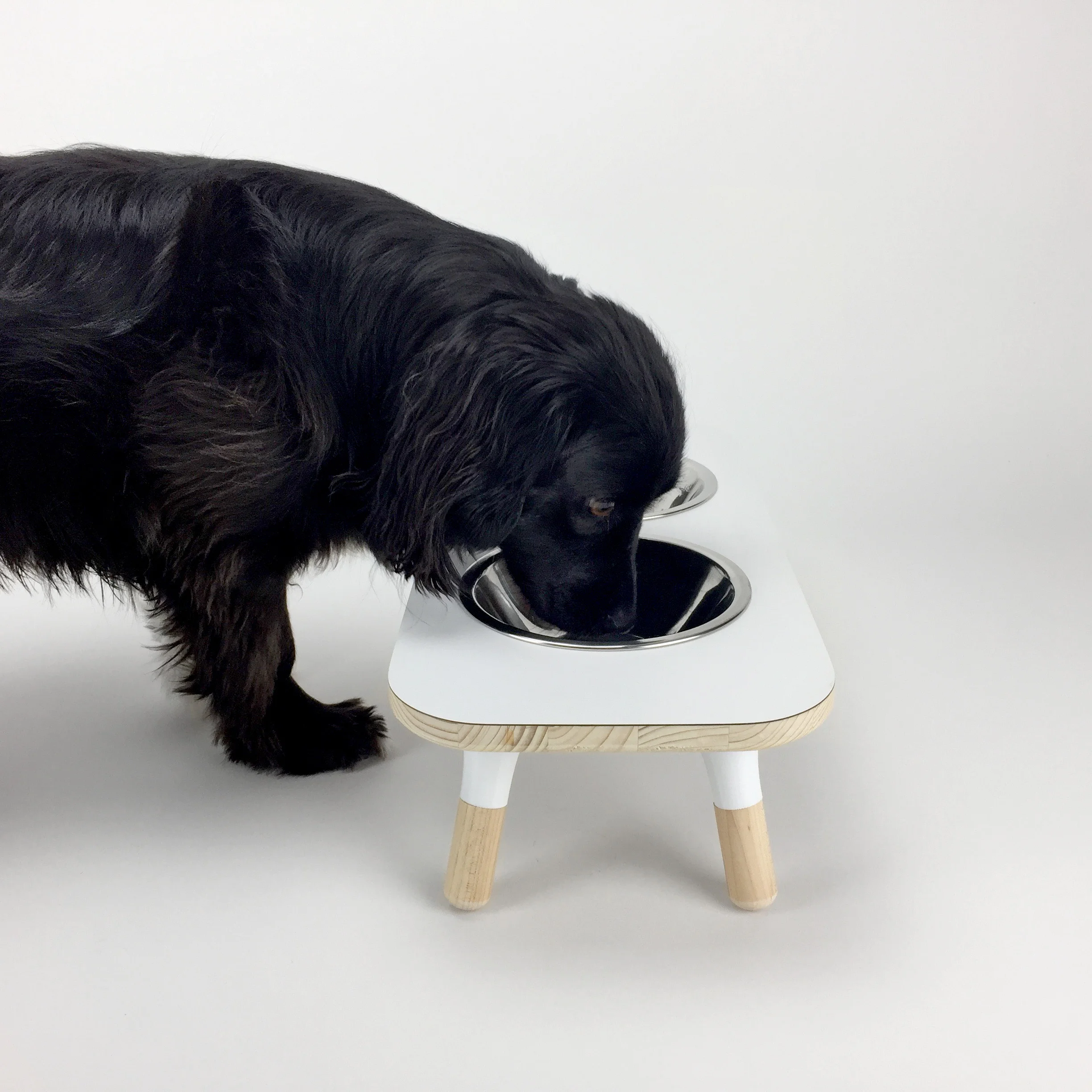 Winnie eating.jpg