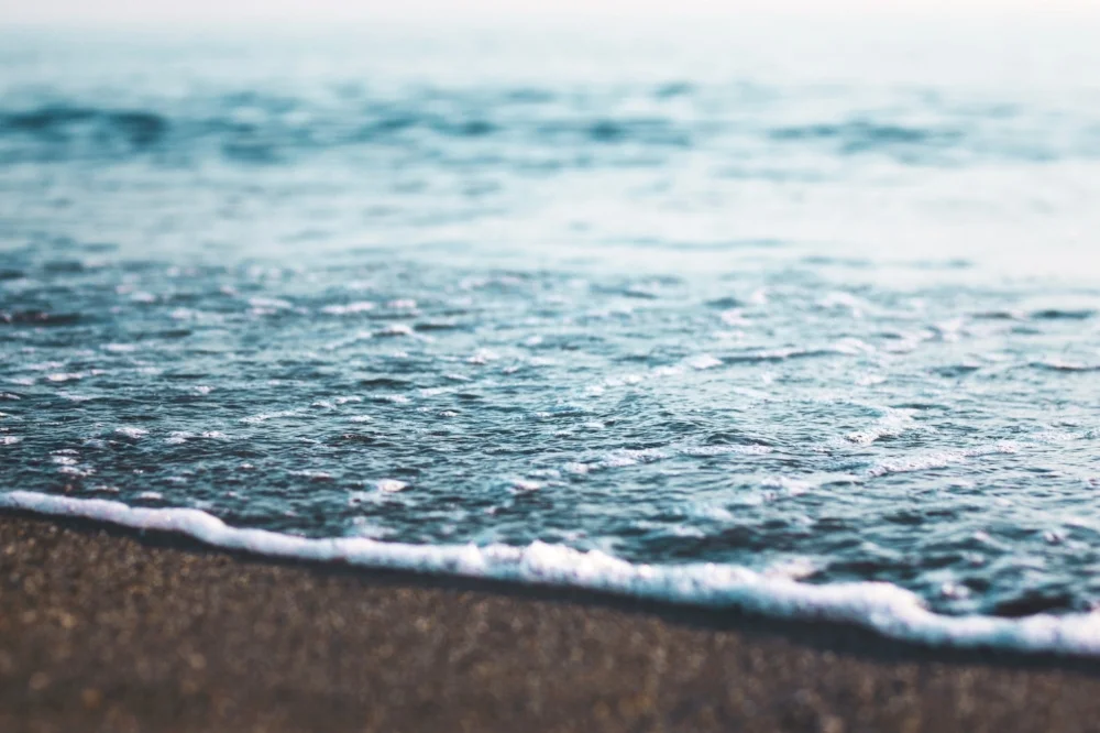 shore-sea-jonathan-bean.jpg