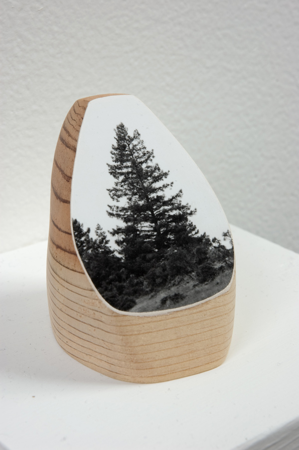 Timber, 2011, gelatin silver print on redwood, 3.5” x 2” x 2.5”