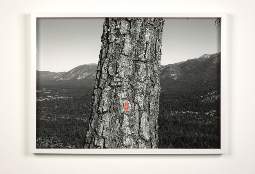 Gum Print, 2012, archival pigment print with chewing gum, 20.5” x 28.5”