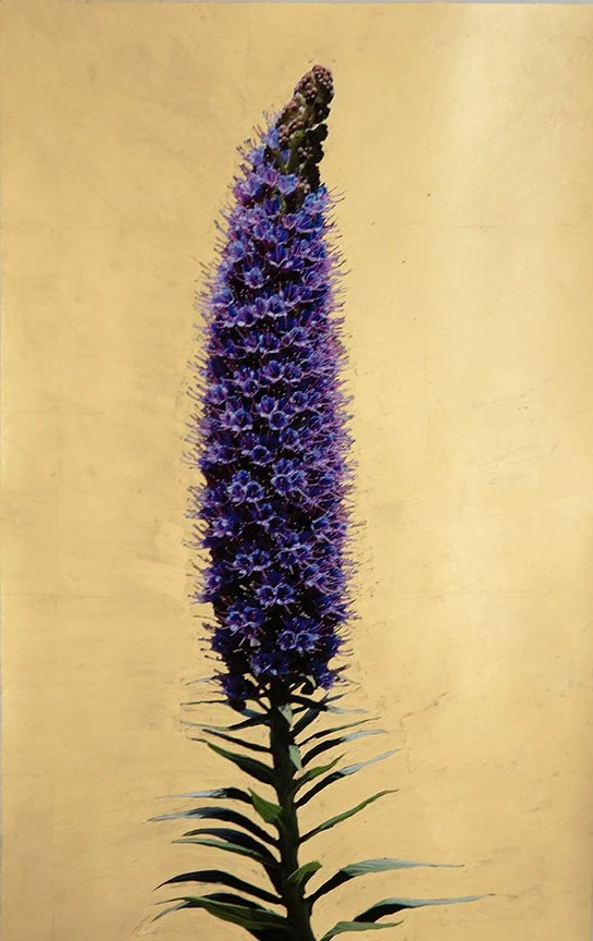 10. Blue Echium, archival pigment print with 22k gold leaf, 18 x 12,” 2023