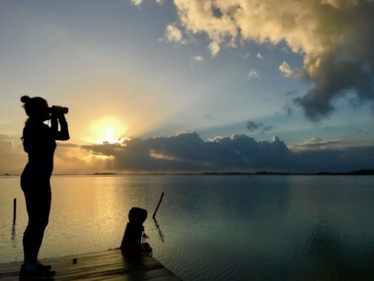 Bird Watching at Sunrise Tulum Mexico