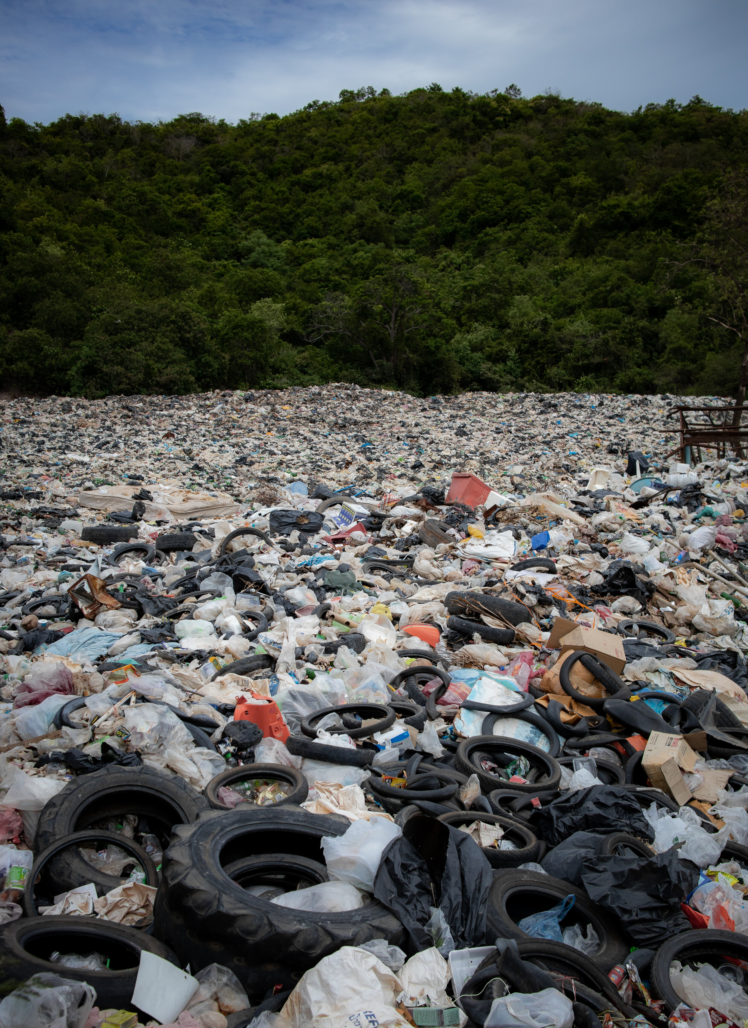Canva - Photo of Landfill Photo by Leonid Danilov.jpg
