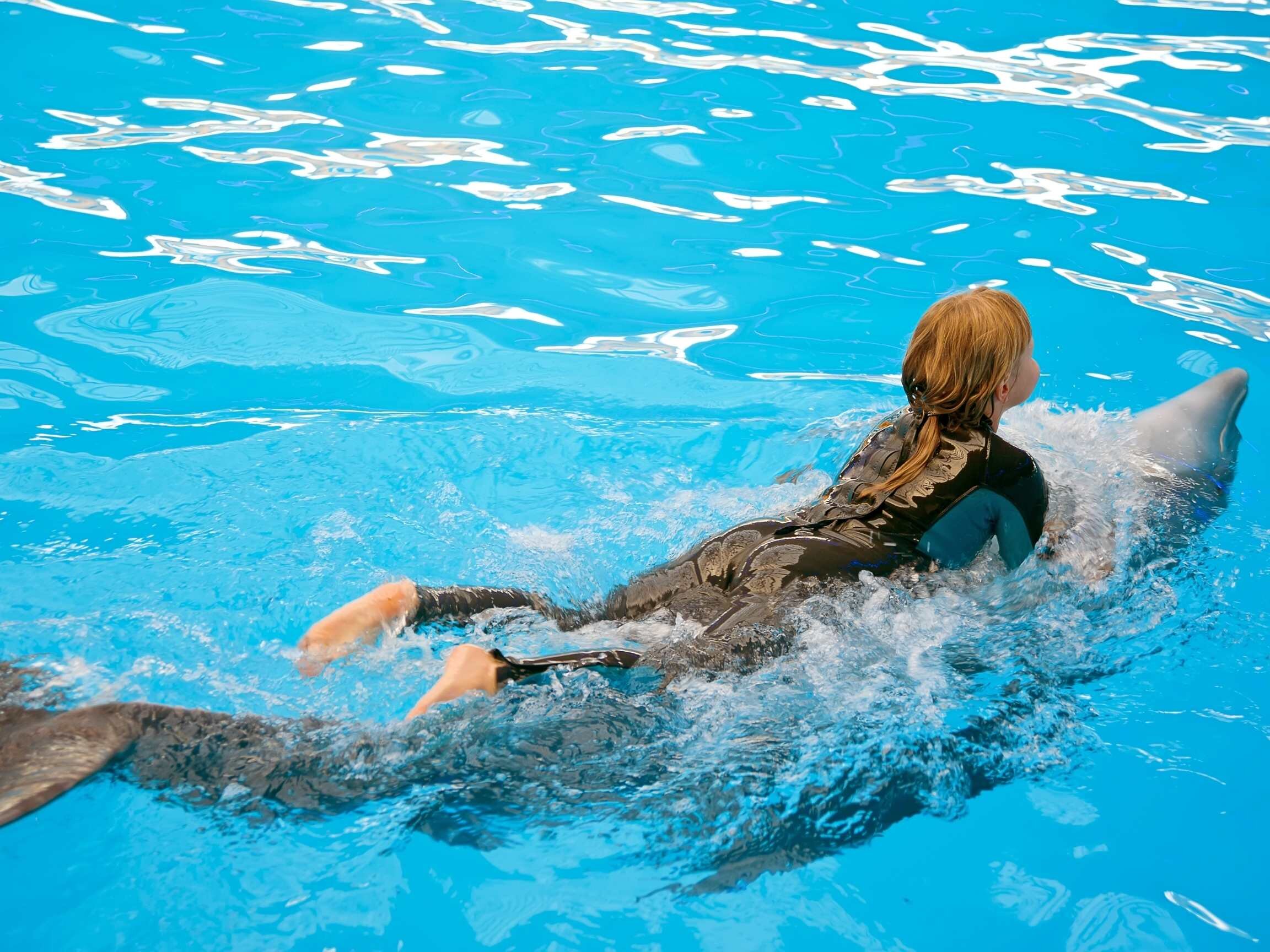 swim with dolphins mexico