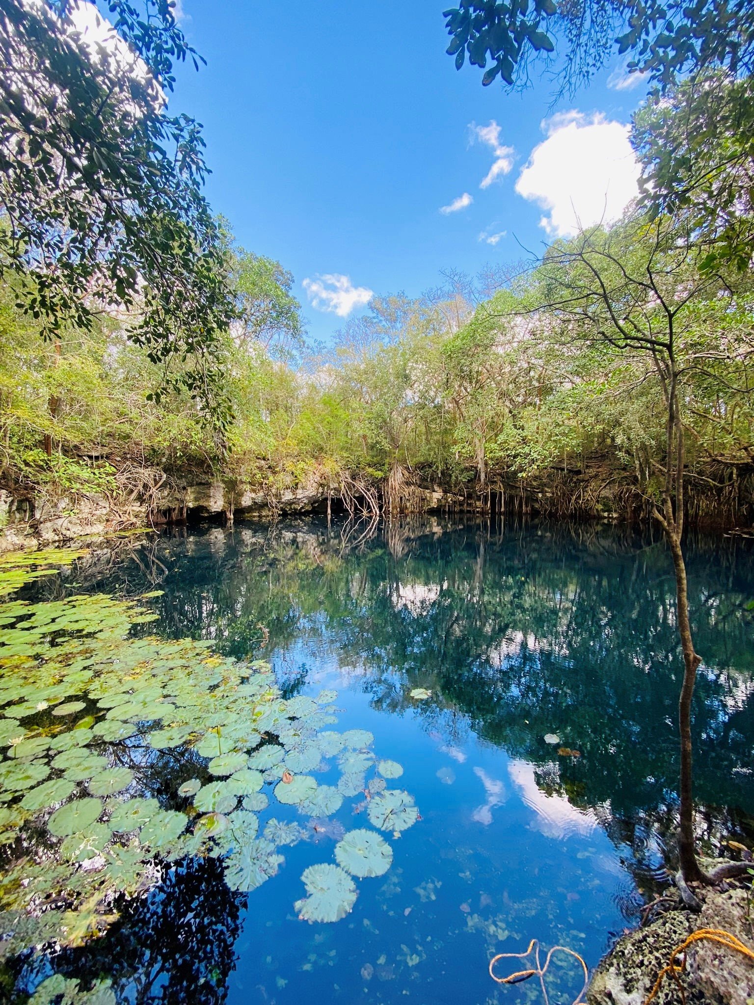 Cenote Ozwatz.jpg