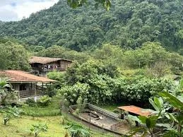 Spiritual retreat experience in México focused on healing and connection