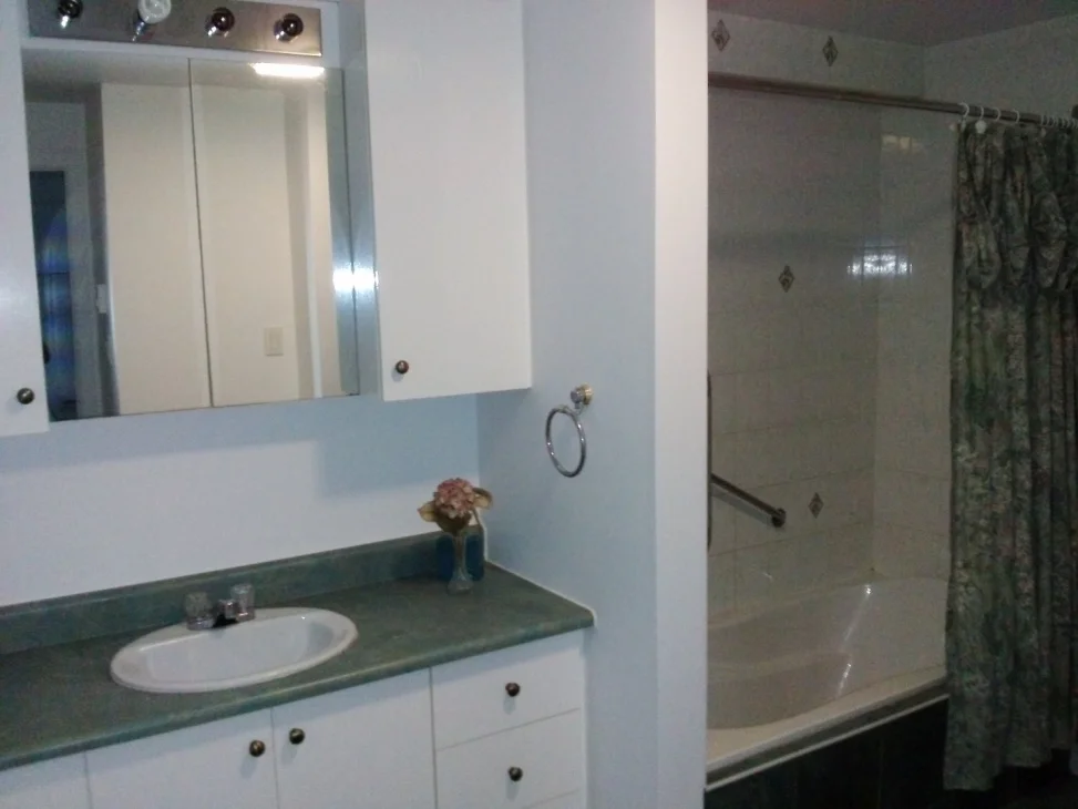 salle-de-bain-1165-1167-Rue-St-Georges-Longueuil-qc.jpg