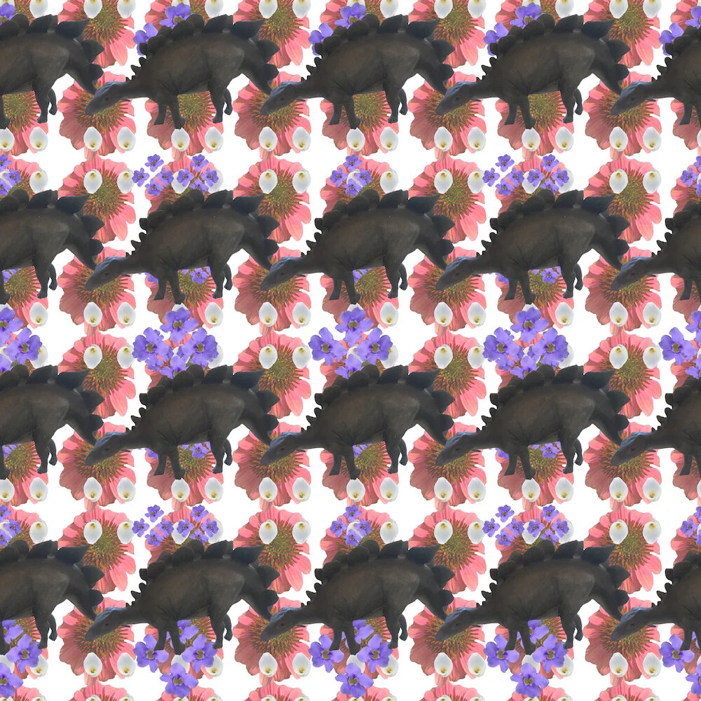 Stuffed Stegos_Pinkeyed Susans (white).jpg