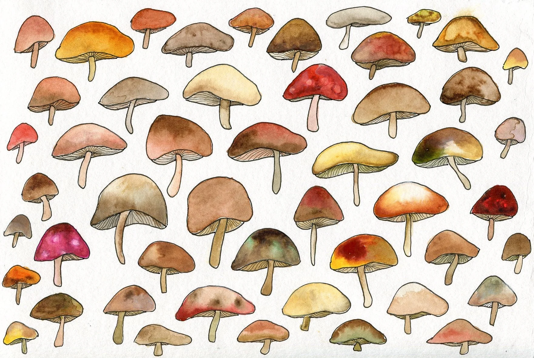 Mushroomss.jpg