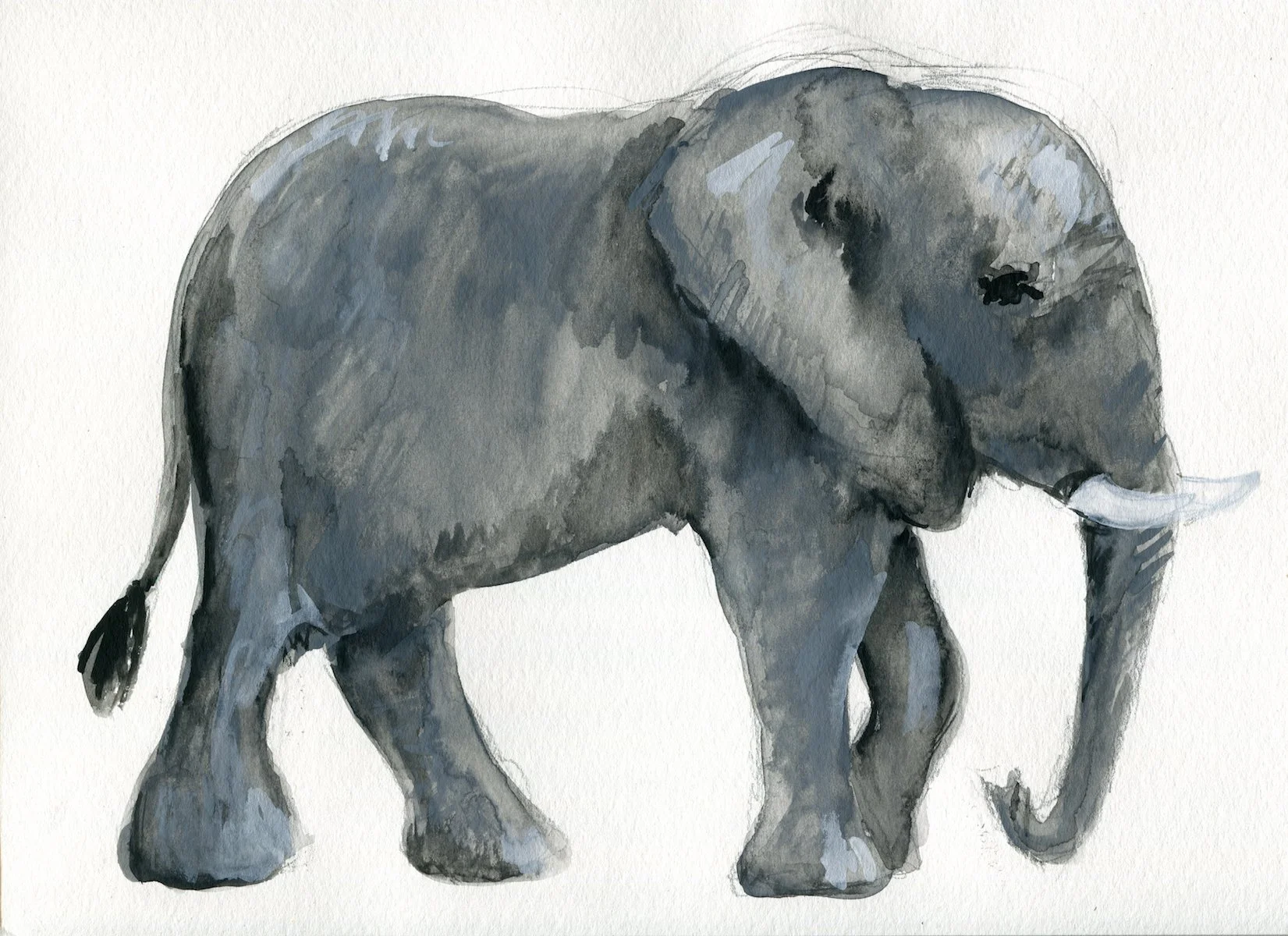 Elephant Watercolor copy.jpg