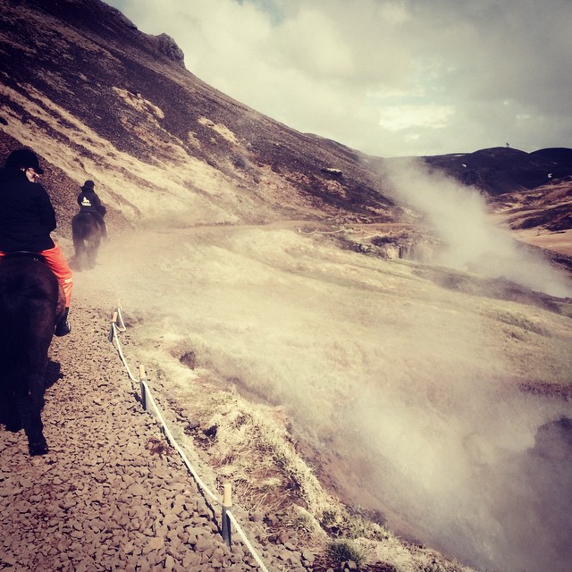 Steamy hot springs and mud pots along our epic horse hike. 
