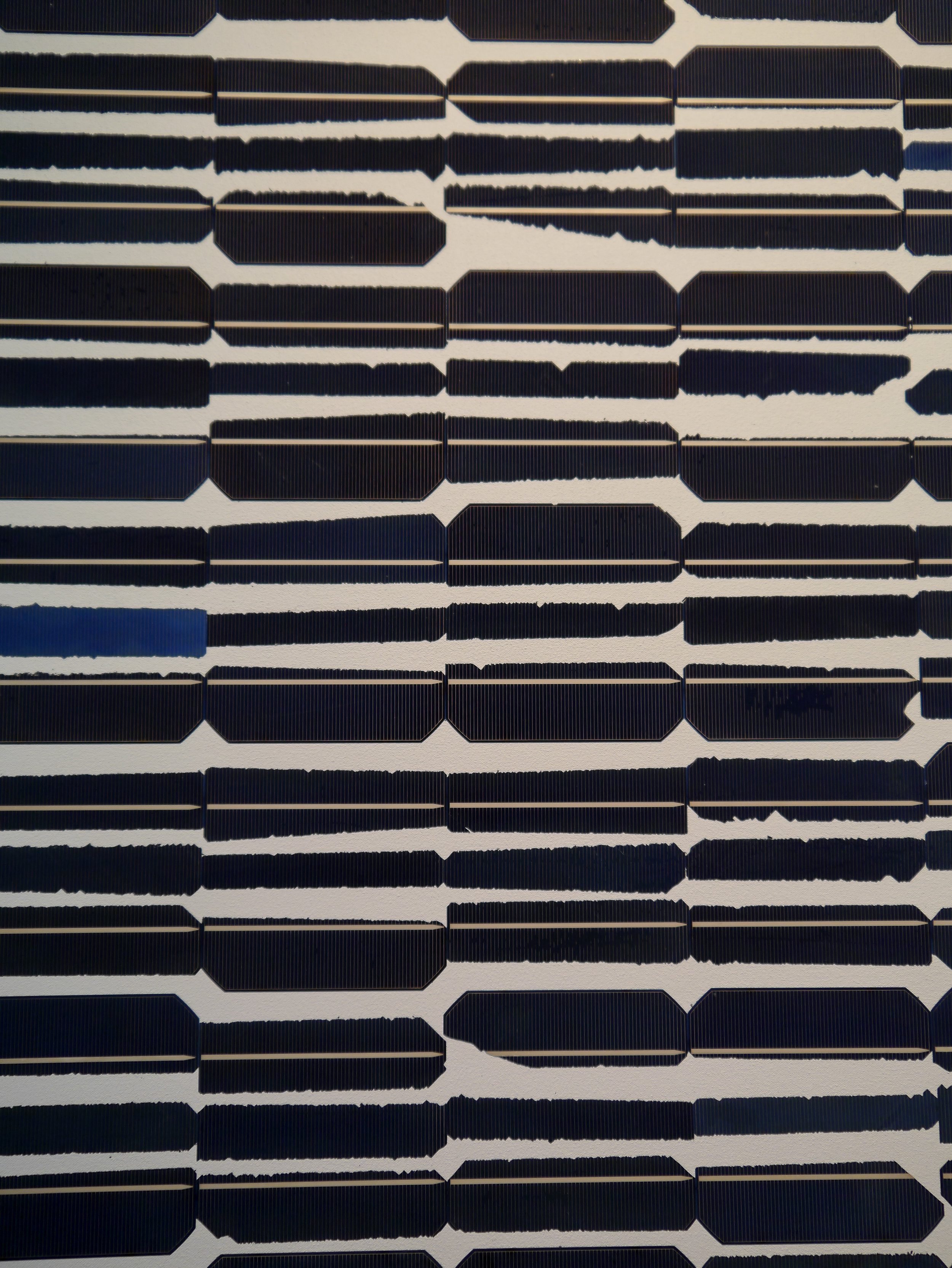 FriezeLissonStrand-91.jpg