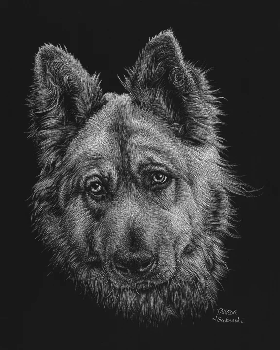 "Takoda"