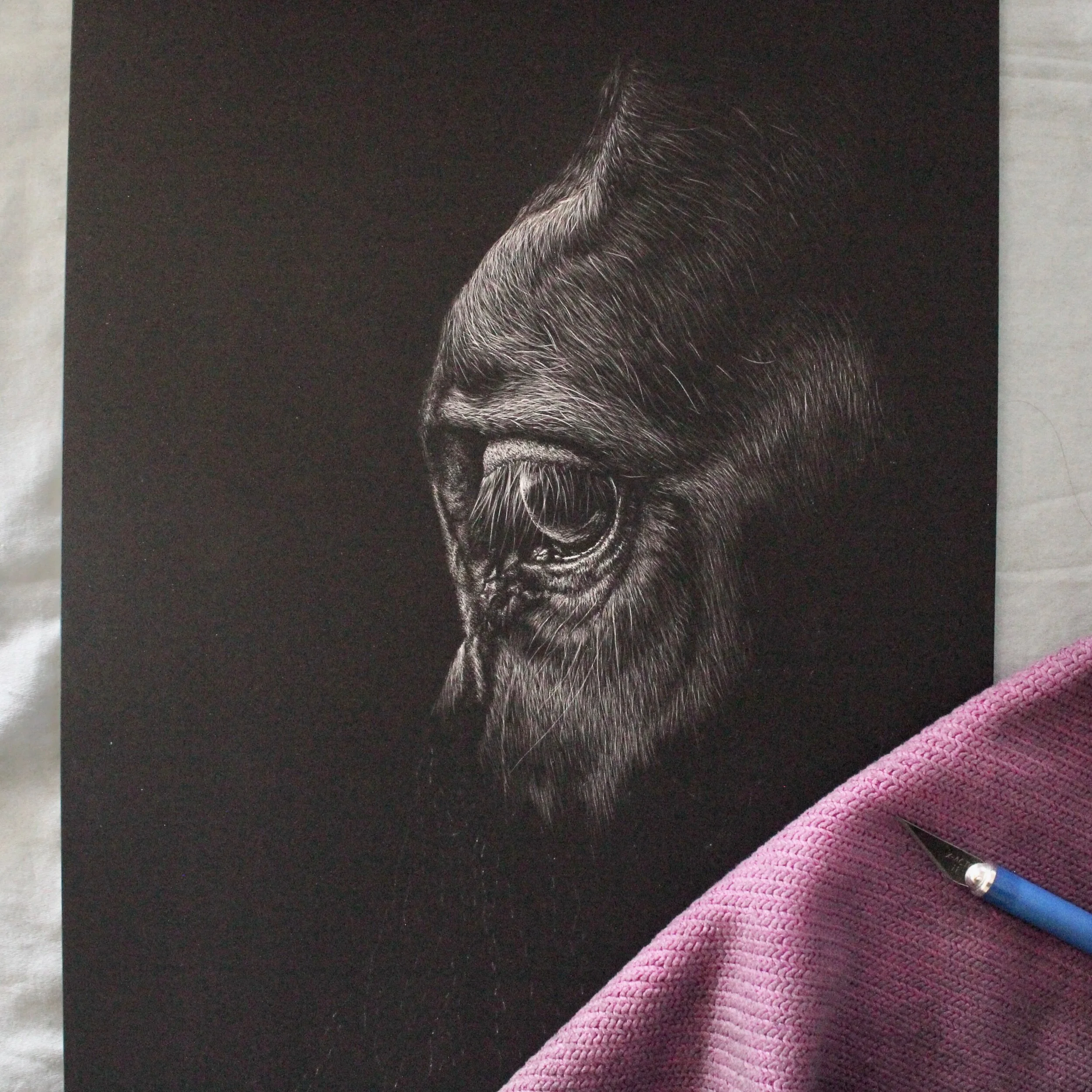 14DC0BF5-04C1-4CD6-BE1C-BD10C737DEF8