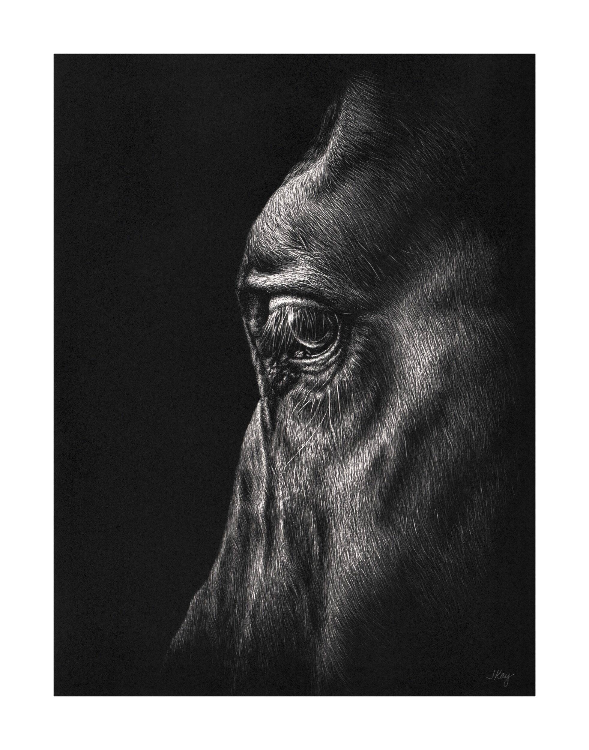 D43AA425-E4B3-4B27-820C-20C545AB4E0B