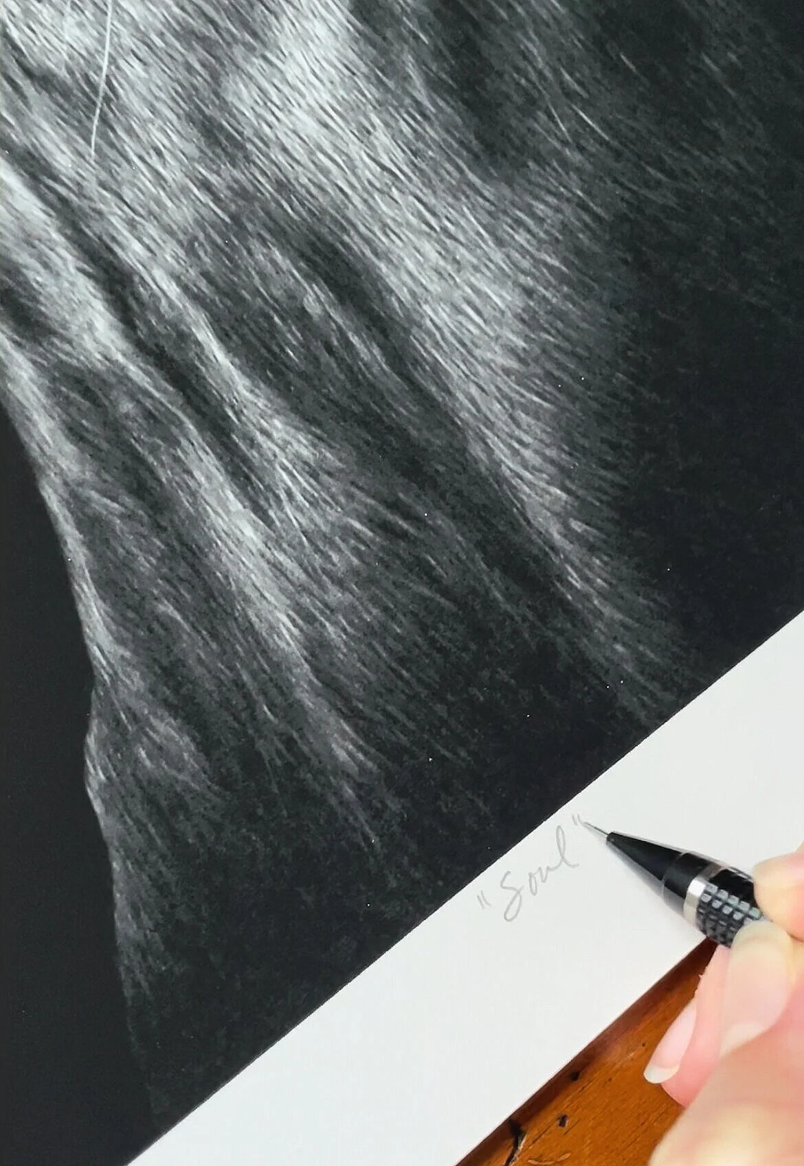 8791F0FC-A78C-43DB-9024-217DBC9F7A63