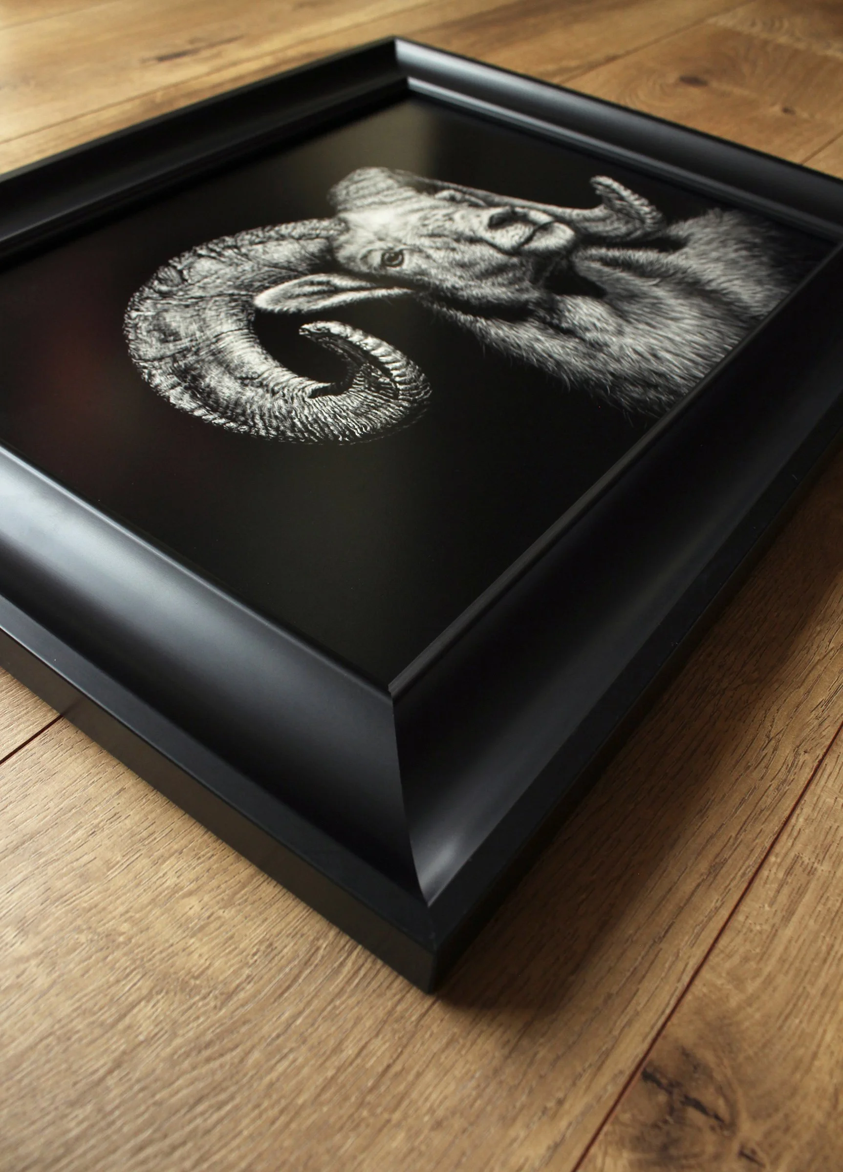 Original Angle view.jpeg