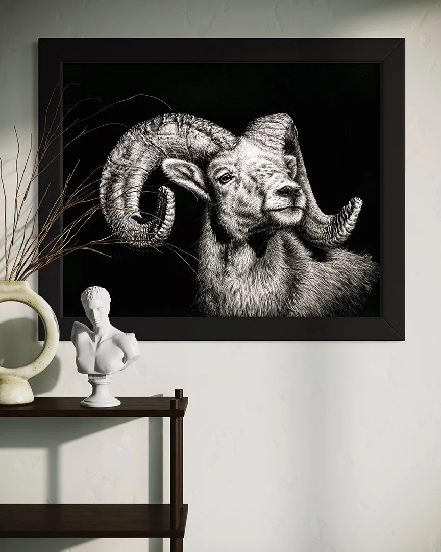 Image 2-1-24 at 3.11 PM.jpeg