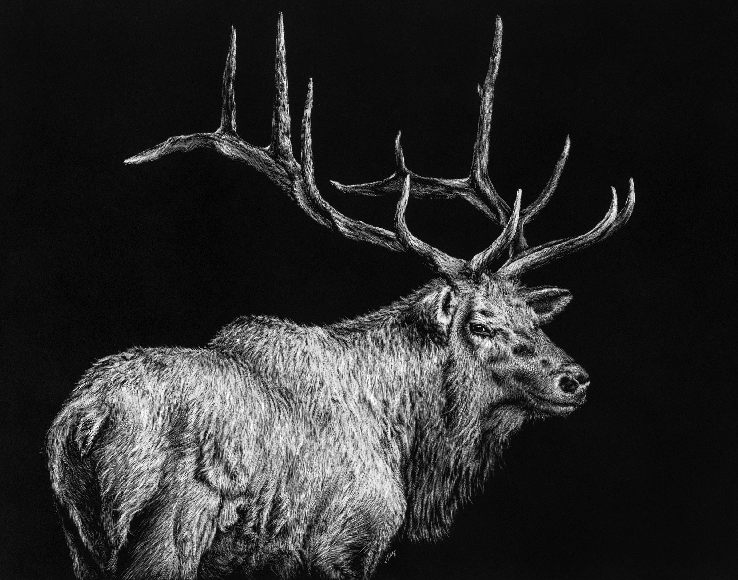 Elk Listing.jpg