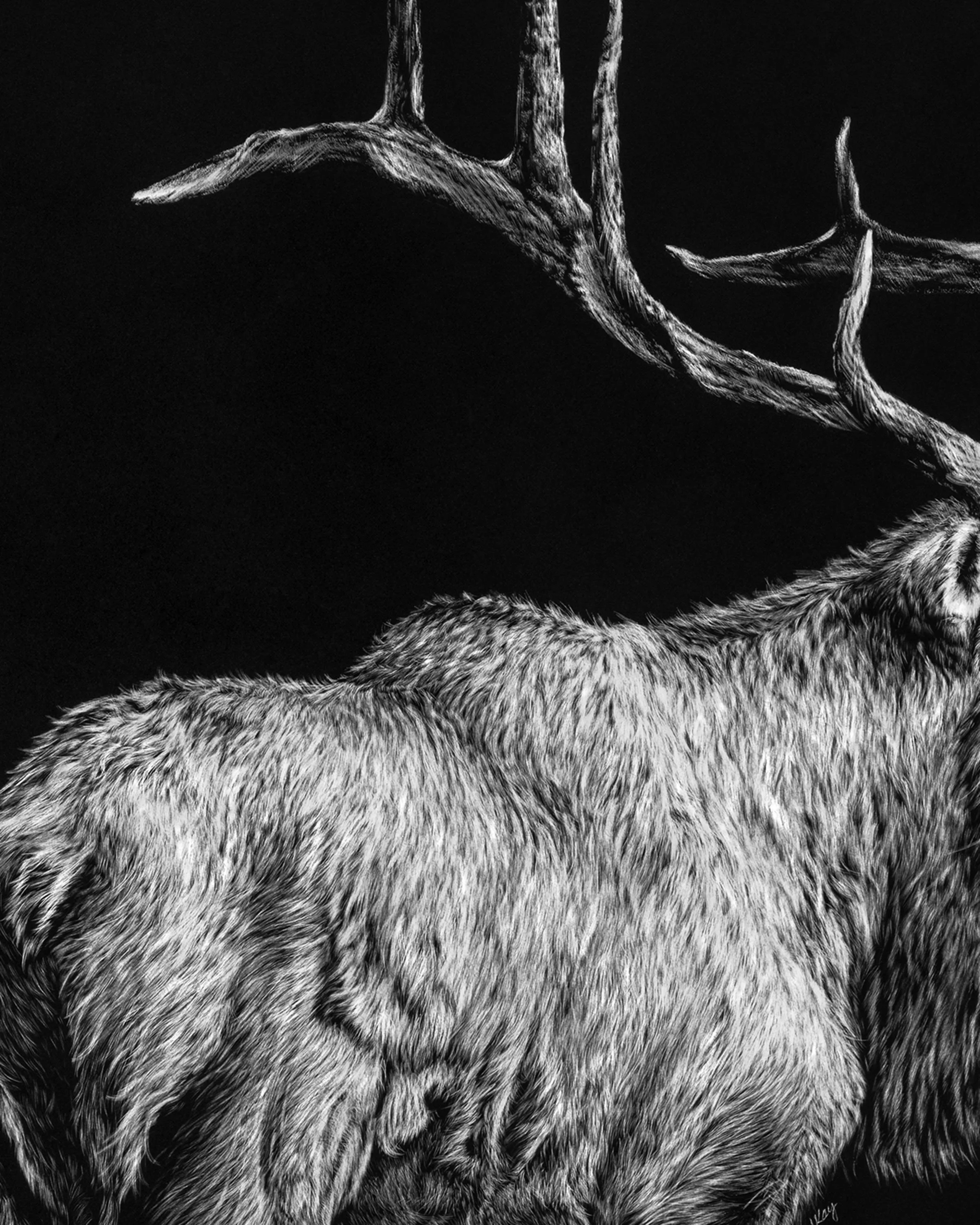 Elk Listing detail 2.jpg