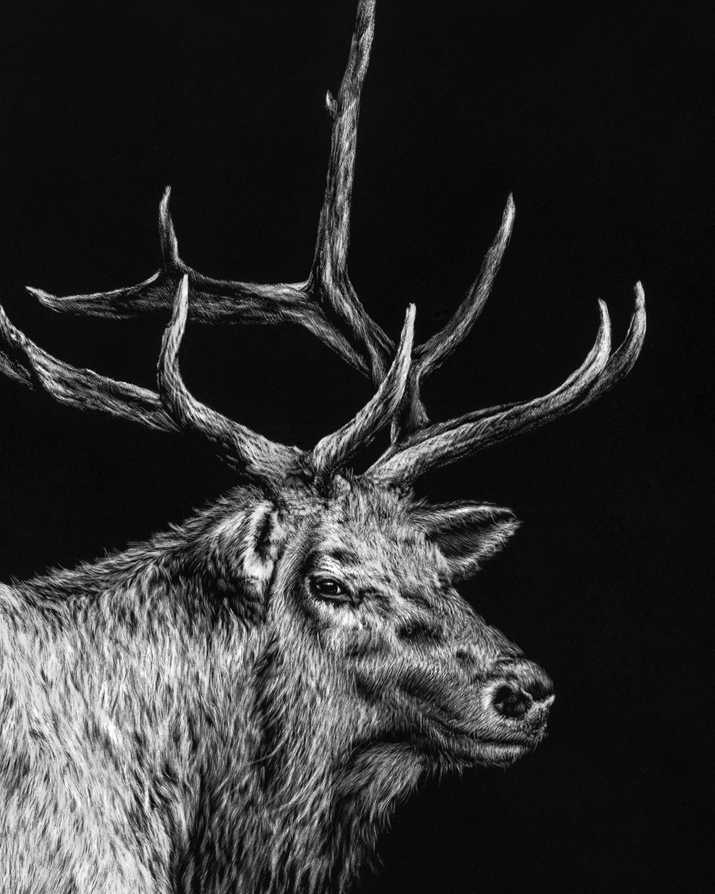 Elk Listing detail 1.jpg