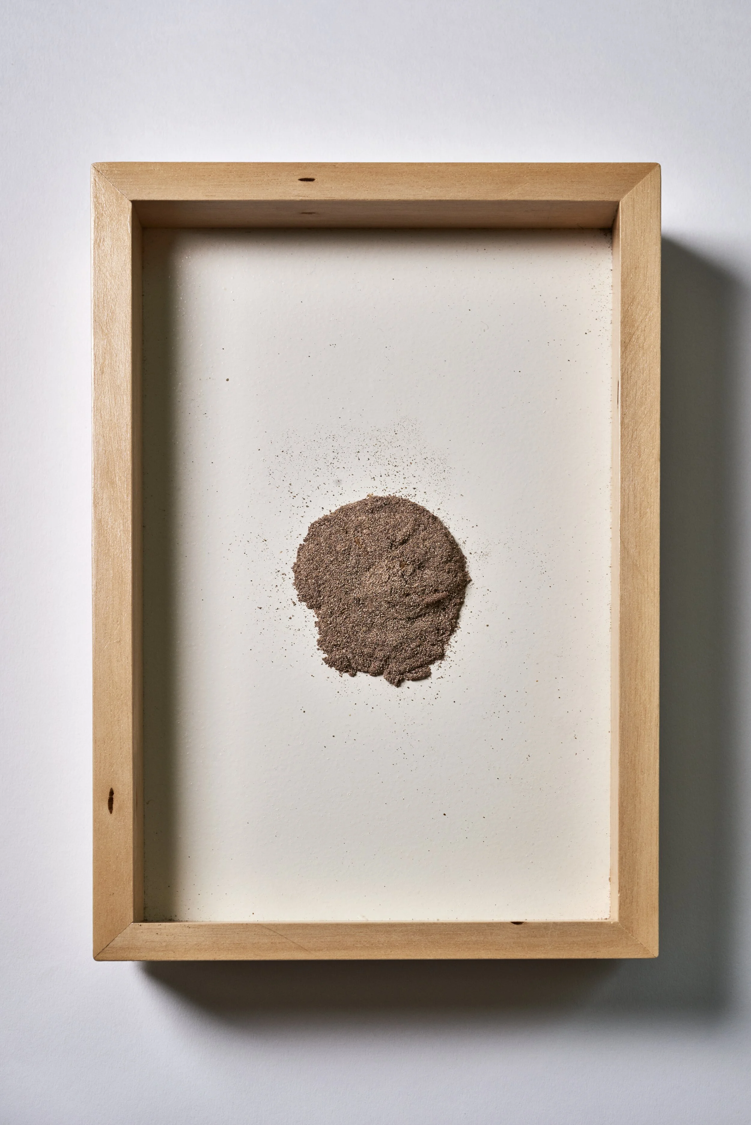 Chiara_Tommencioni Pisapia 5J.jpg