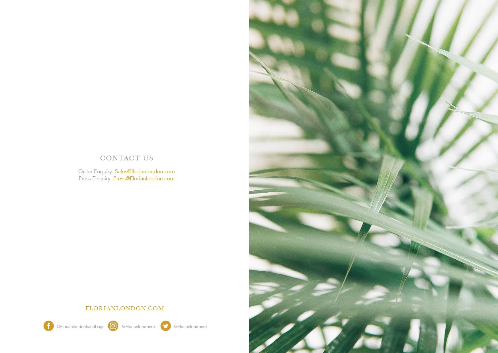 FLORIAN AW18  WEB20.jpg