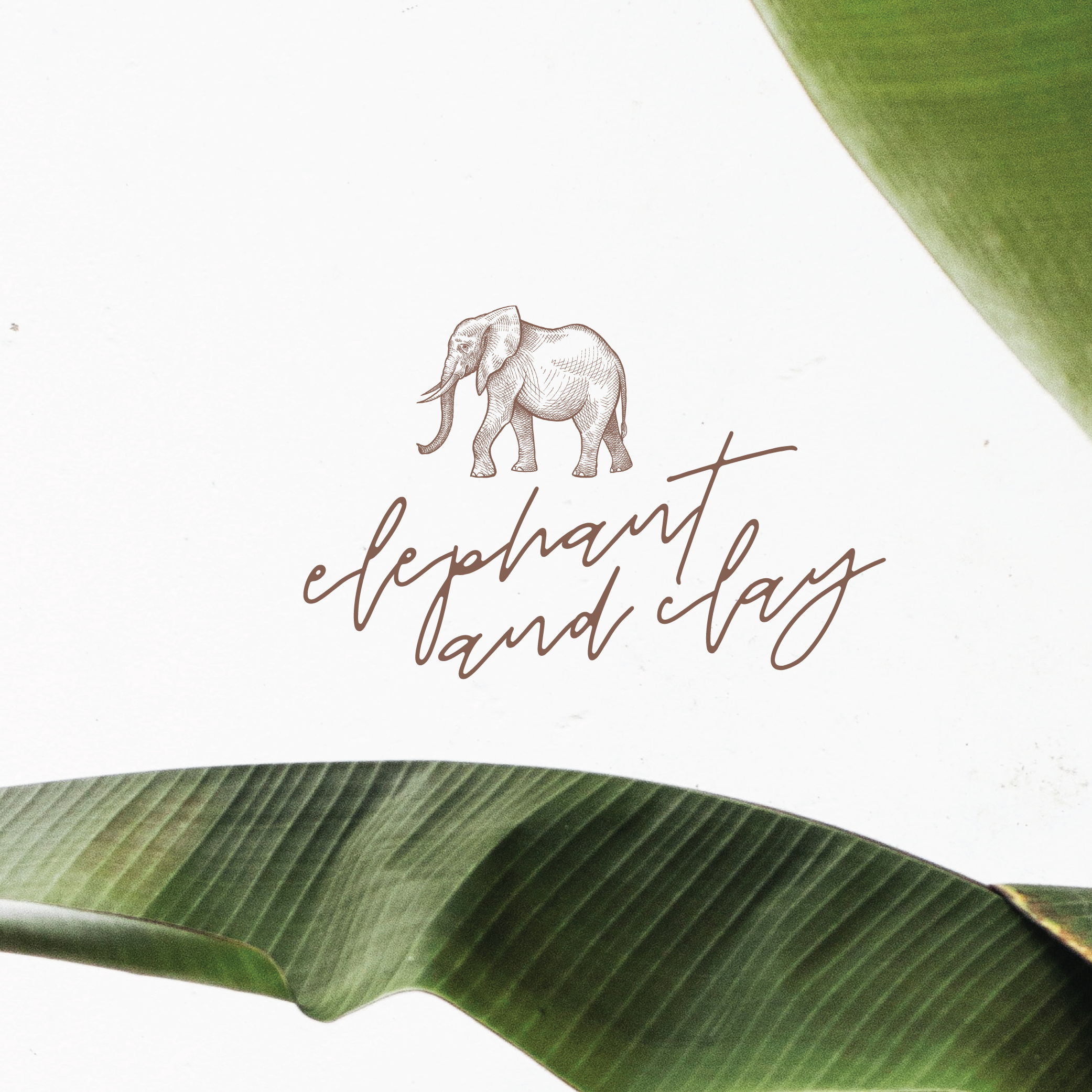 ELEPHANT AND CLAR MOOD-02.png