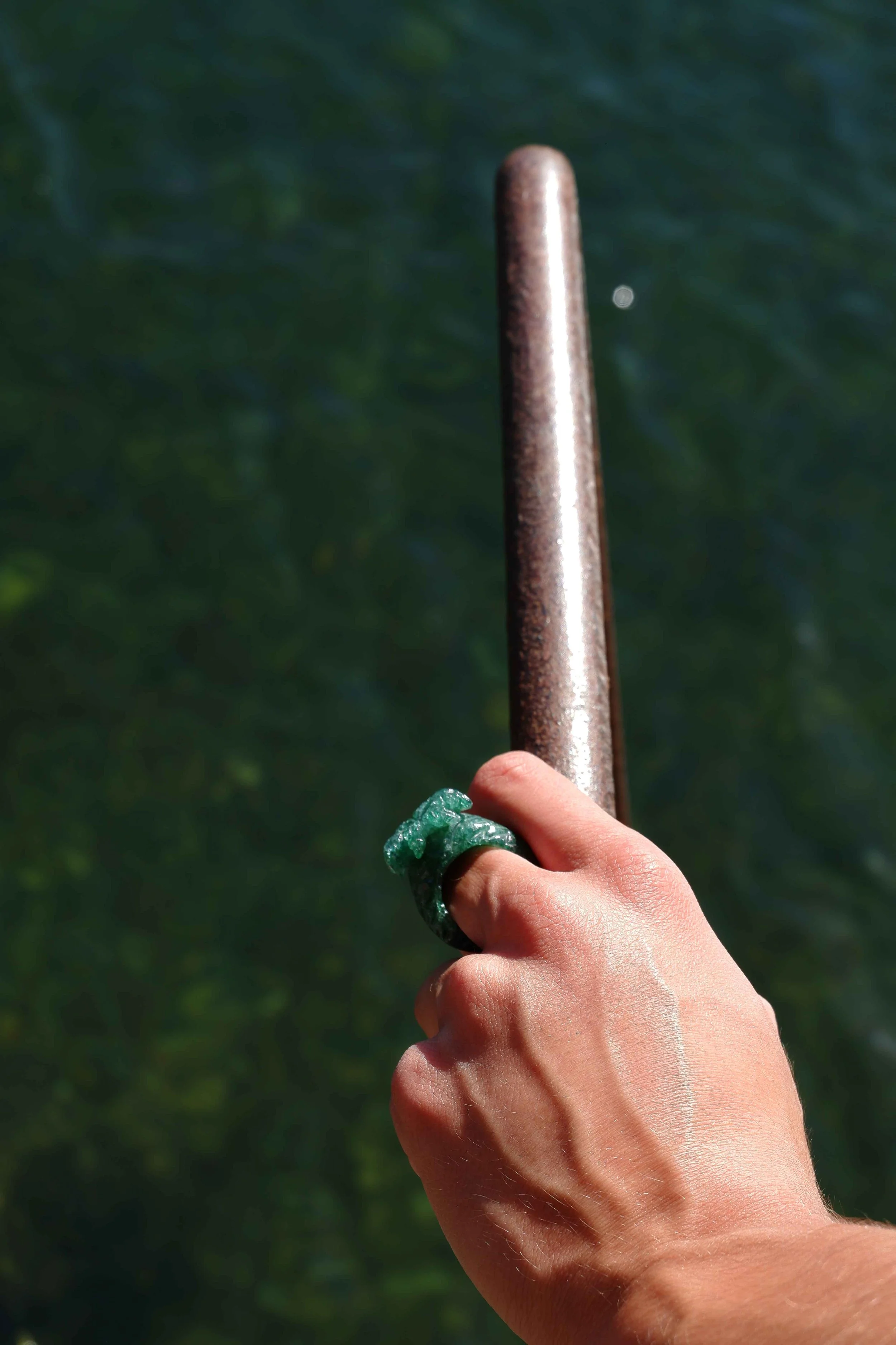 palrmera rings 1.jpg