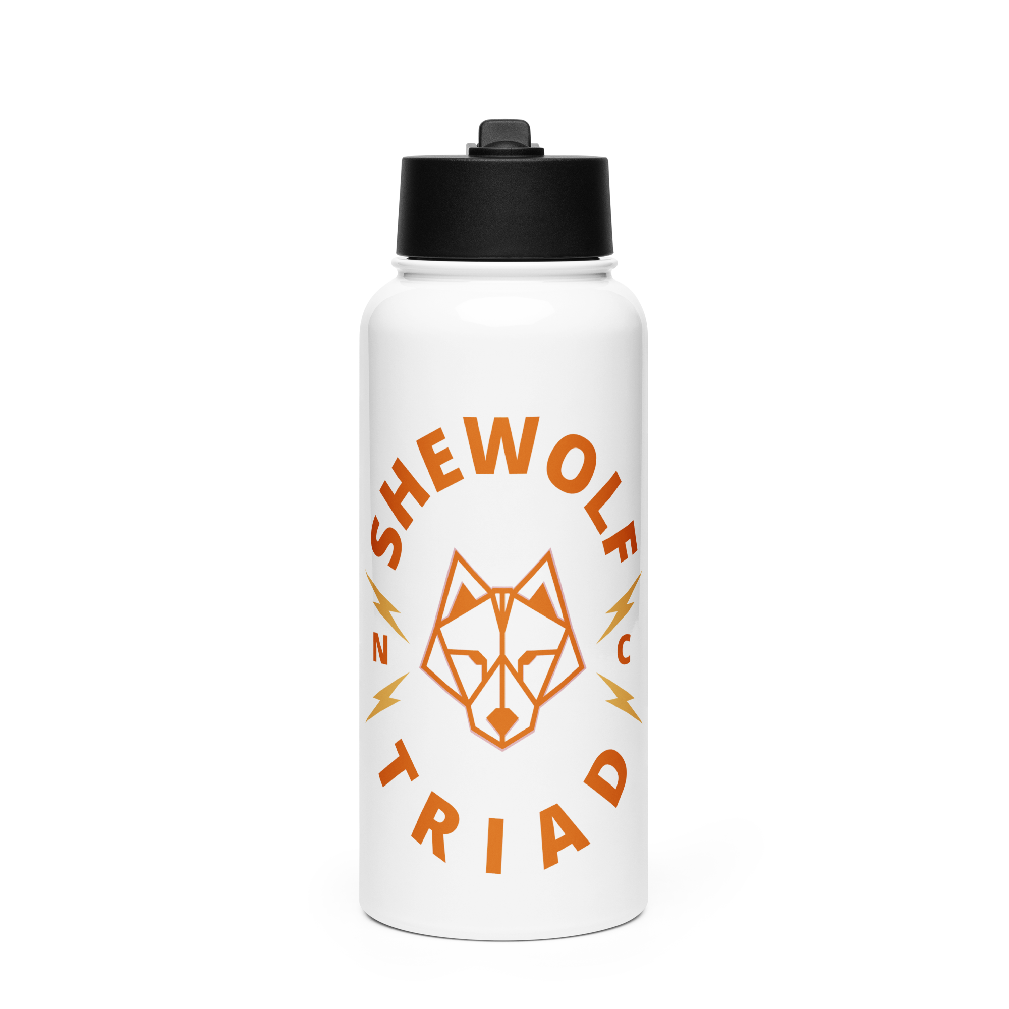 Triad Chapter Stainless steel water bottle with a straw lid