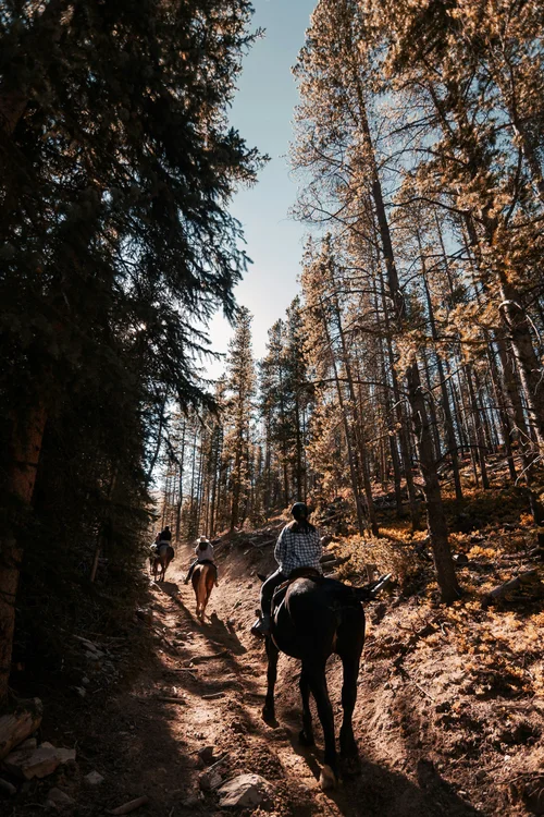 Horseback riding through fall color