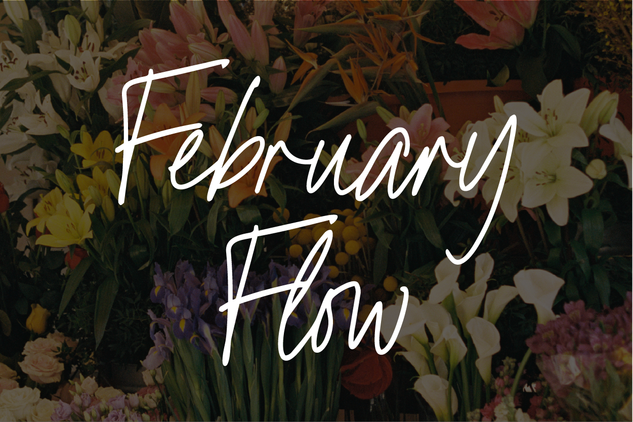 February Flow: Donation Class