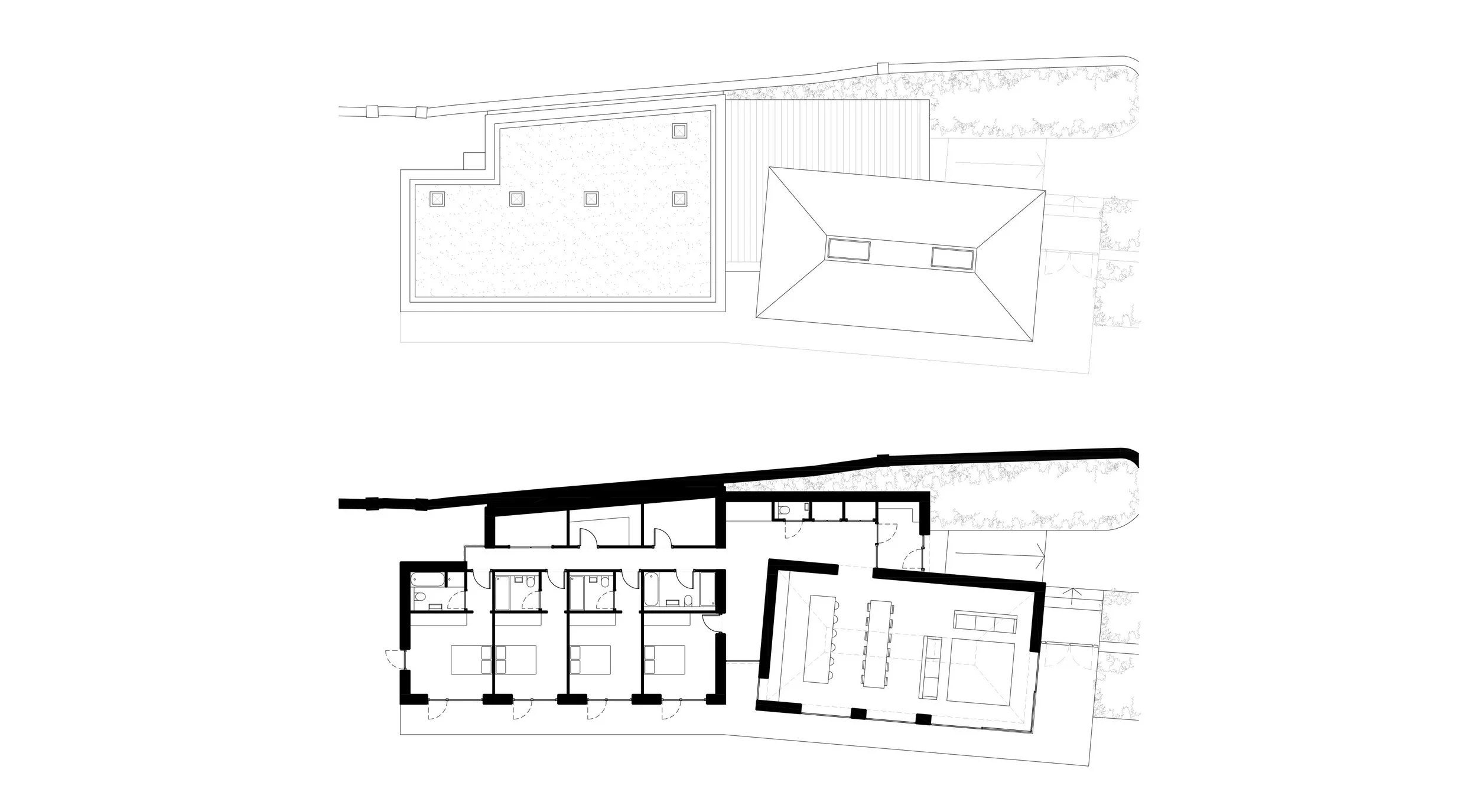 WEB IMAGE 22.jpg
