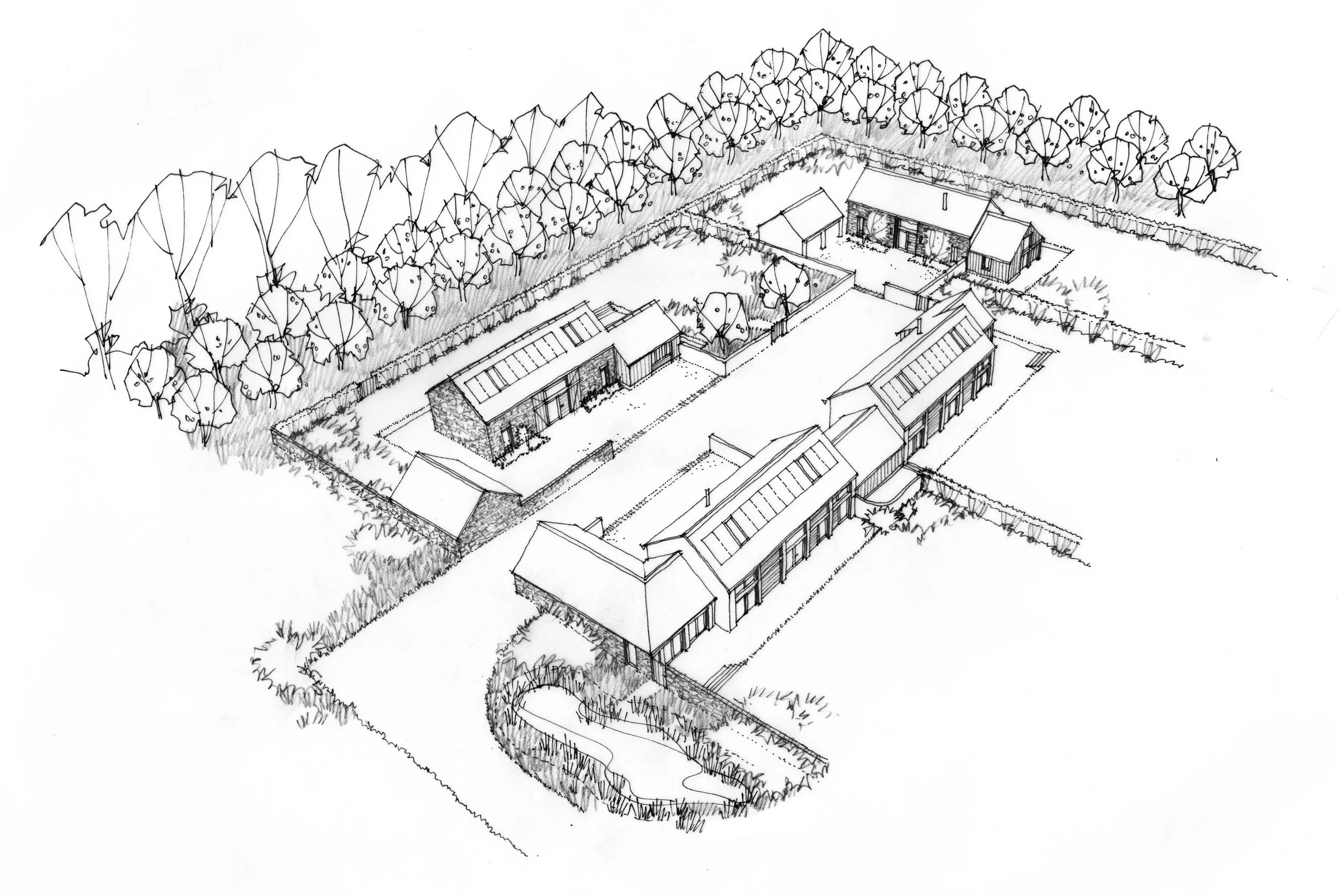 WEB IMAGE 39.jpg