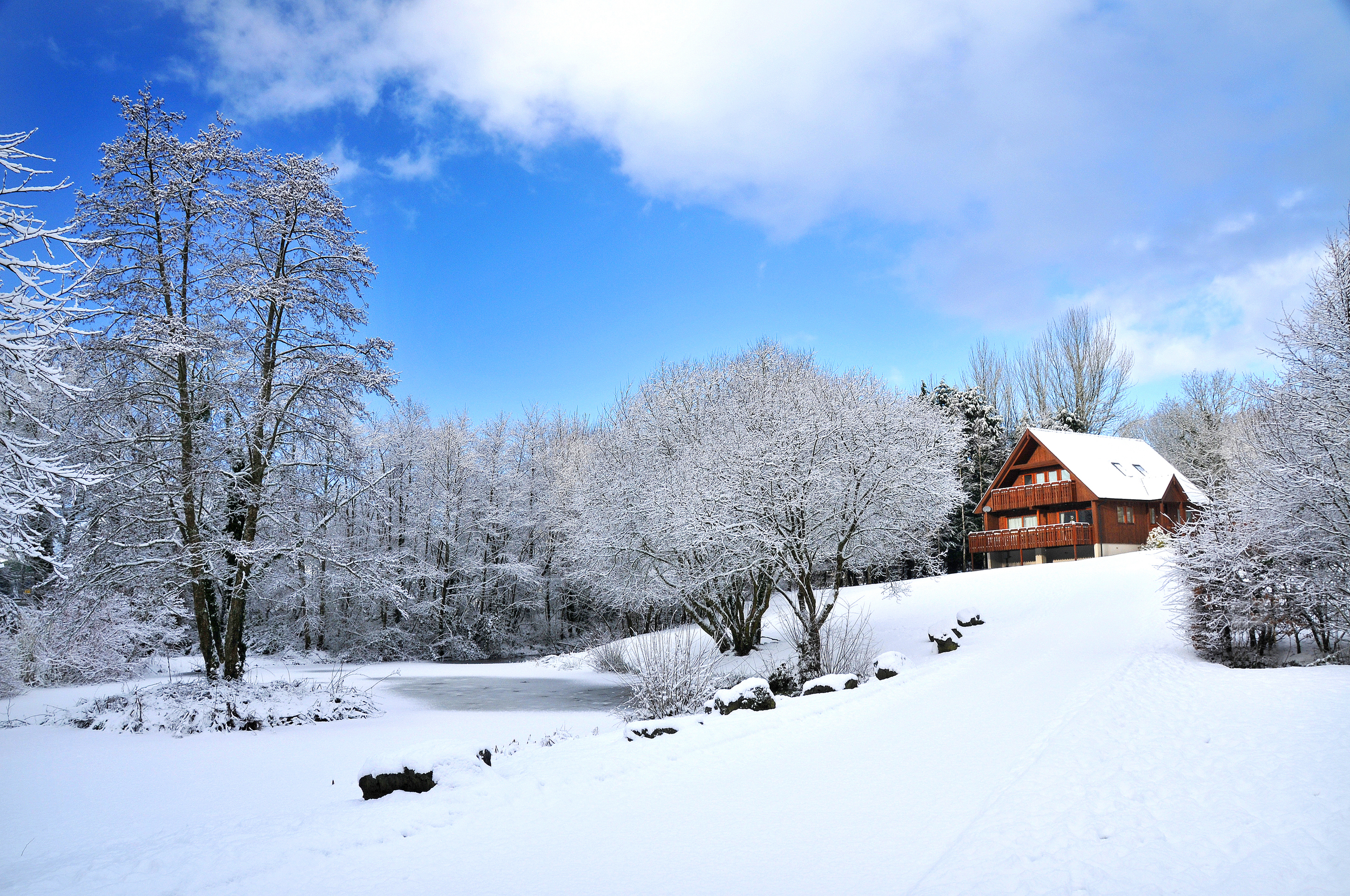 Snow and the house1.jpg