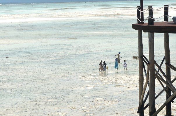 Zanzibar at low tide