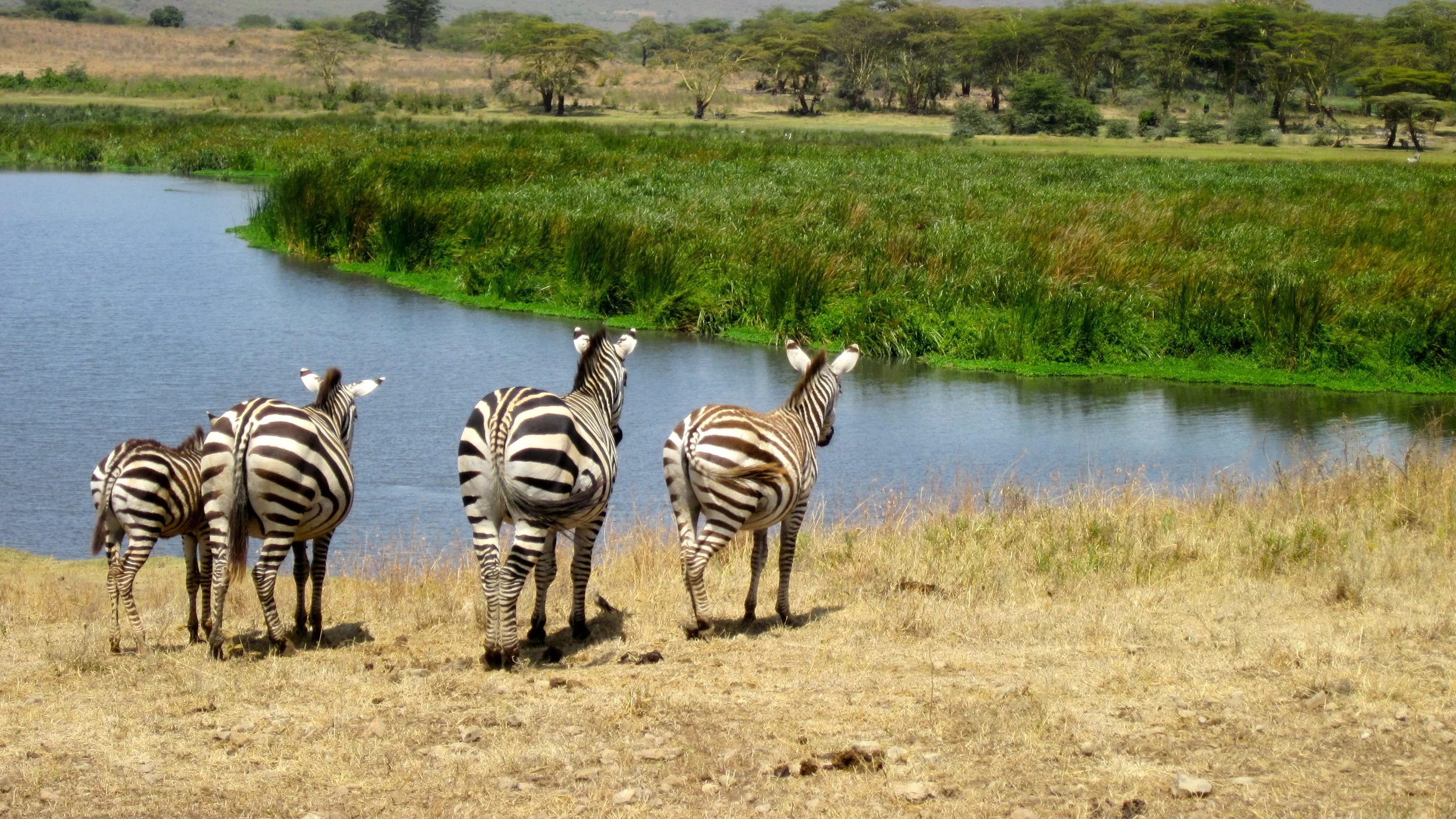 Highlights of Tanzania