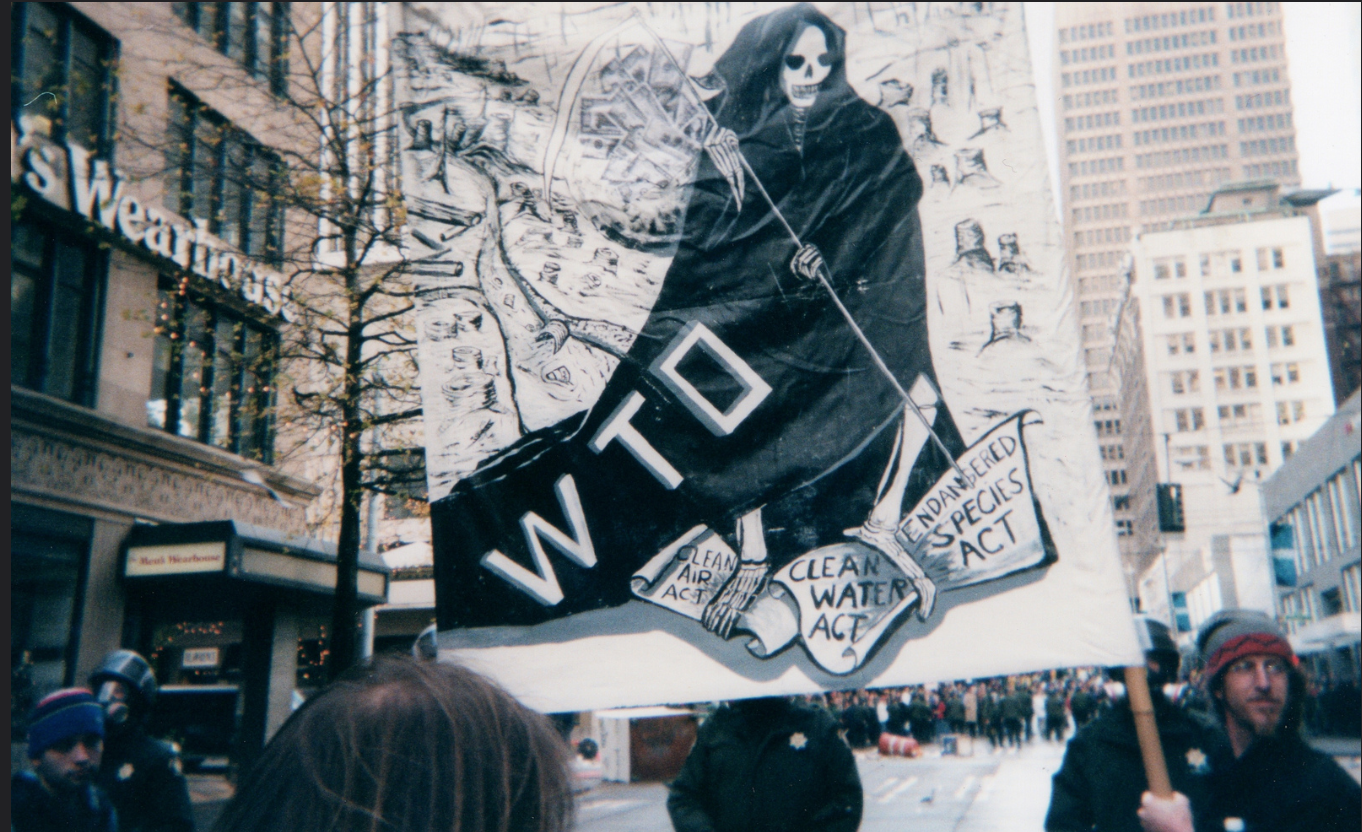 Organizations vs. Institutions: The Perils and Strife of the Anti-globalization Movement