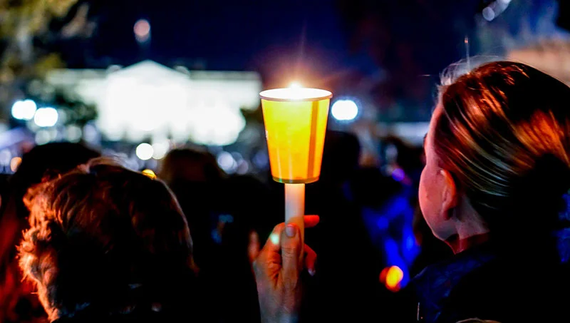 2017 Year of Action: The Dangers of Democratic Rollback and our Responses