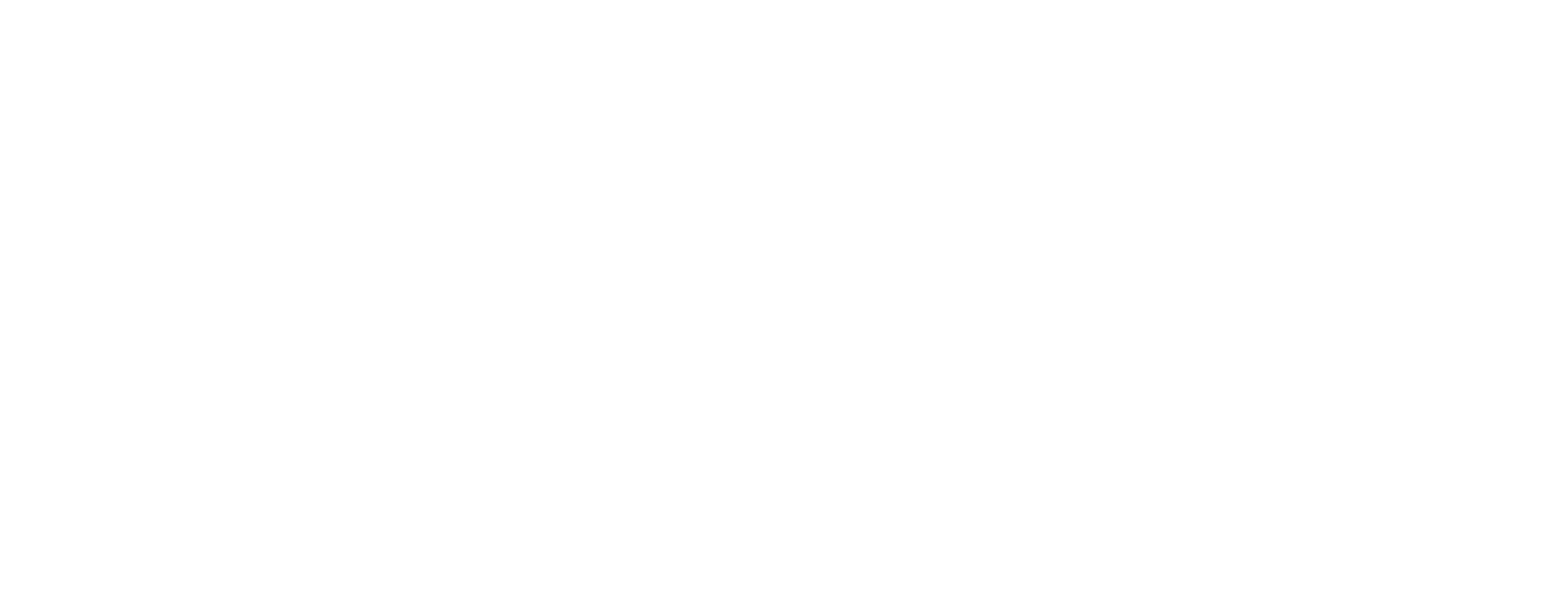 RueSnider_logo_white.png