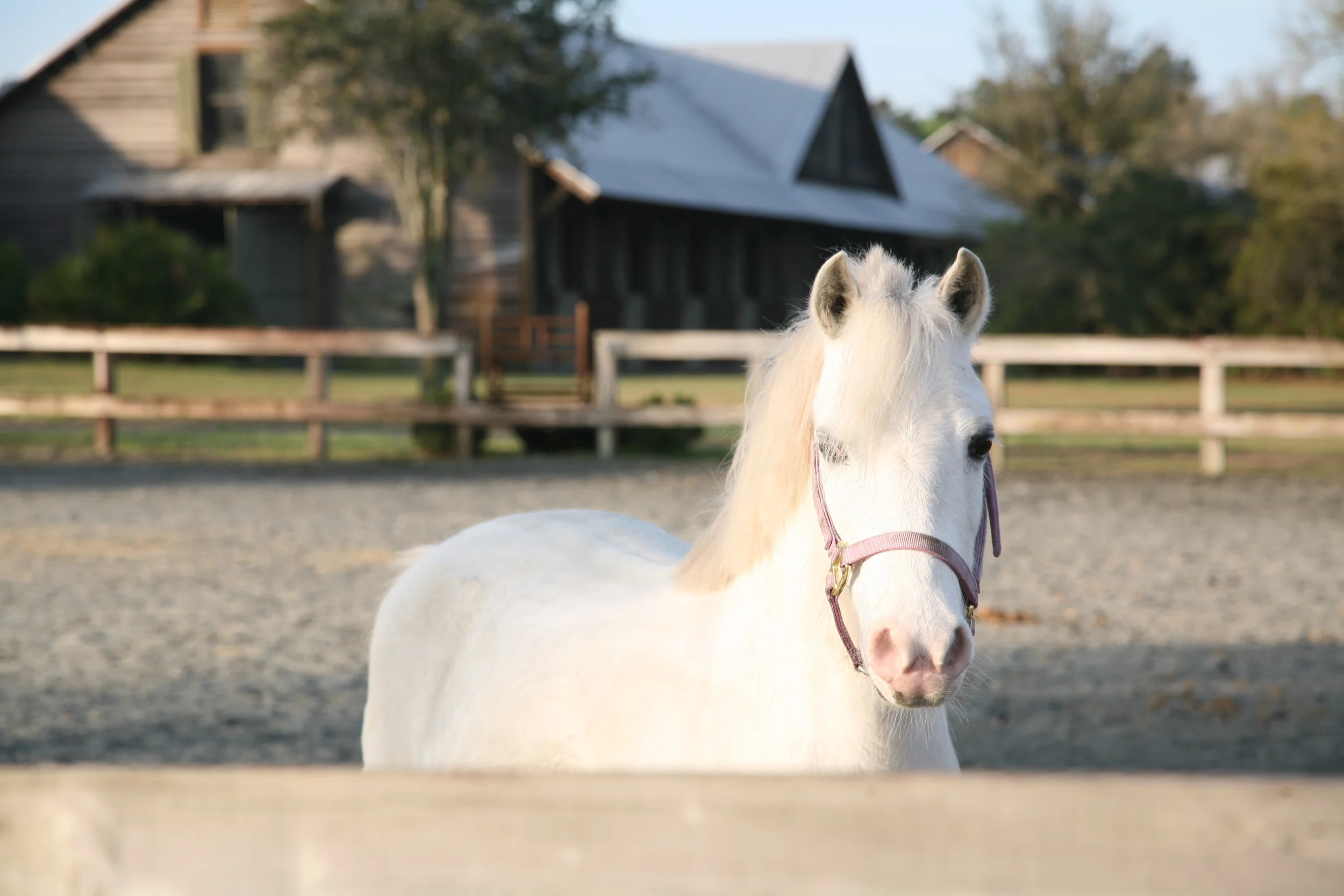 Stables at Frederica 105.JPG