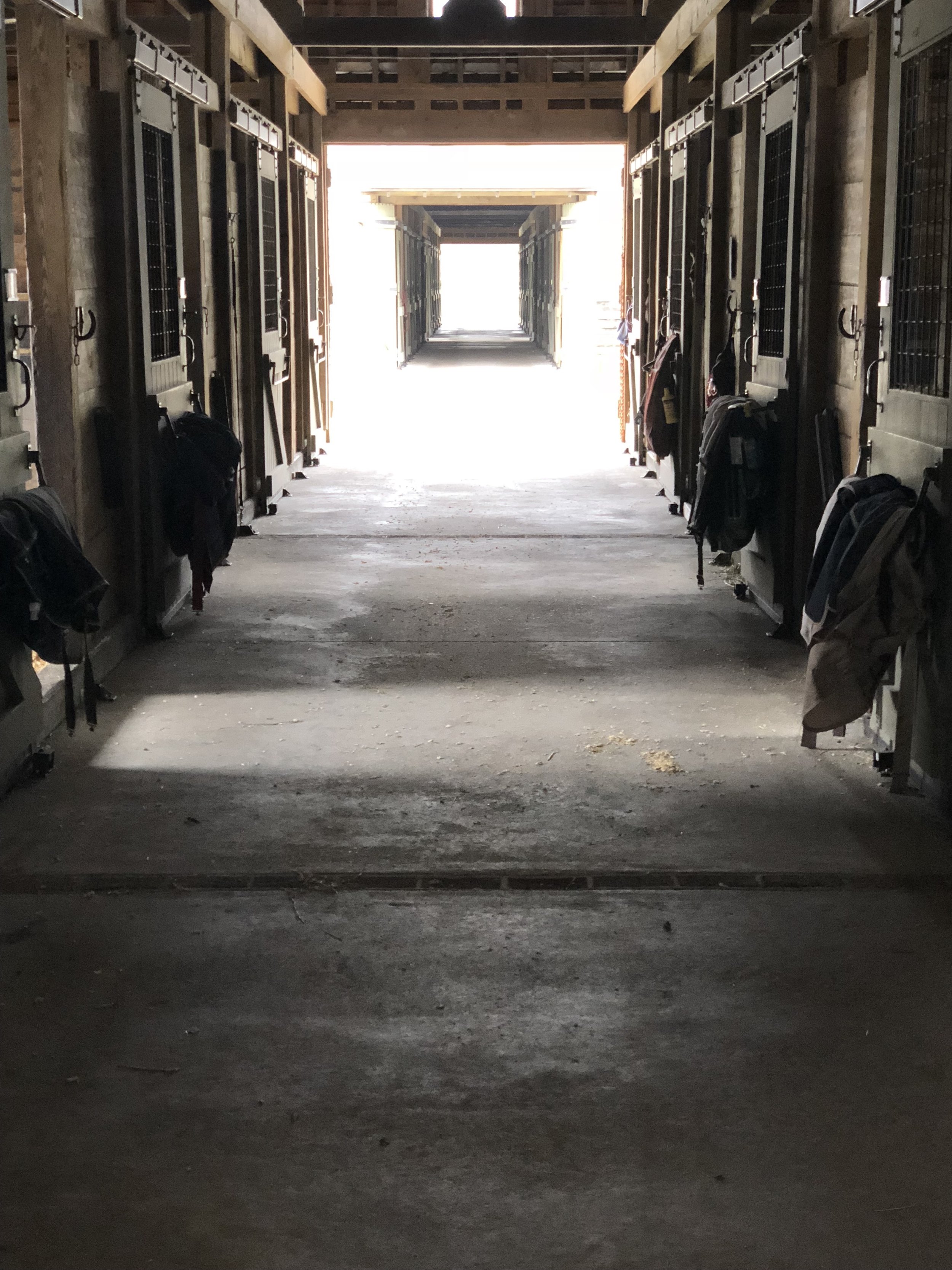 Cleanliness Is Next to Godliness