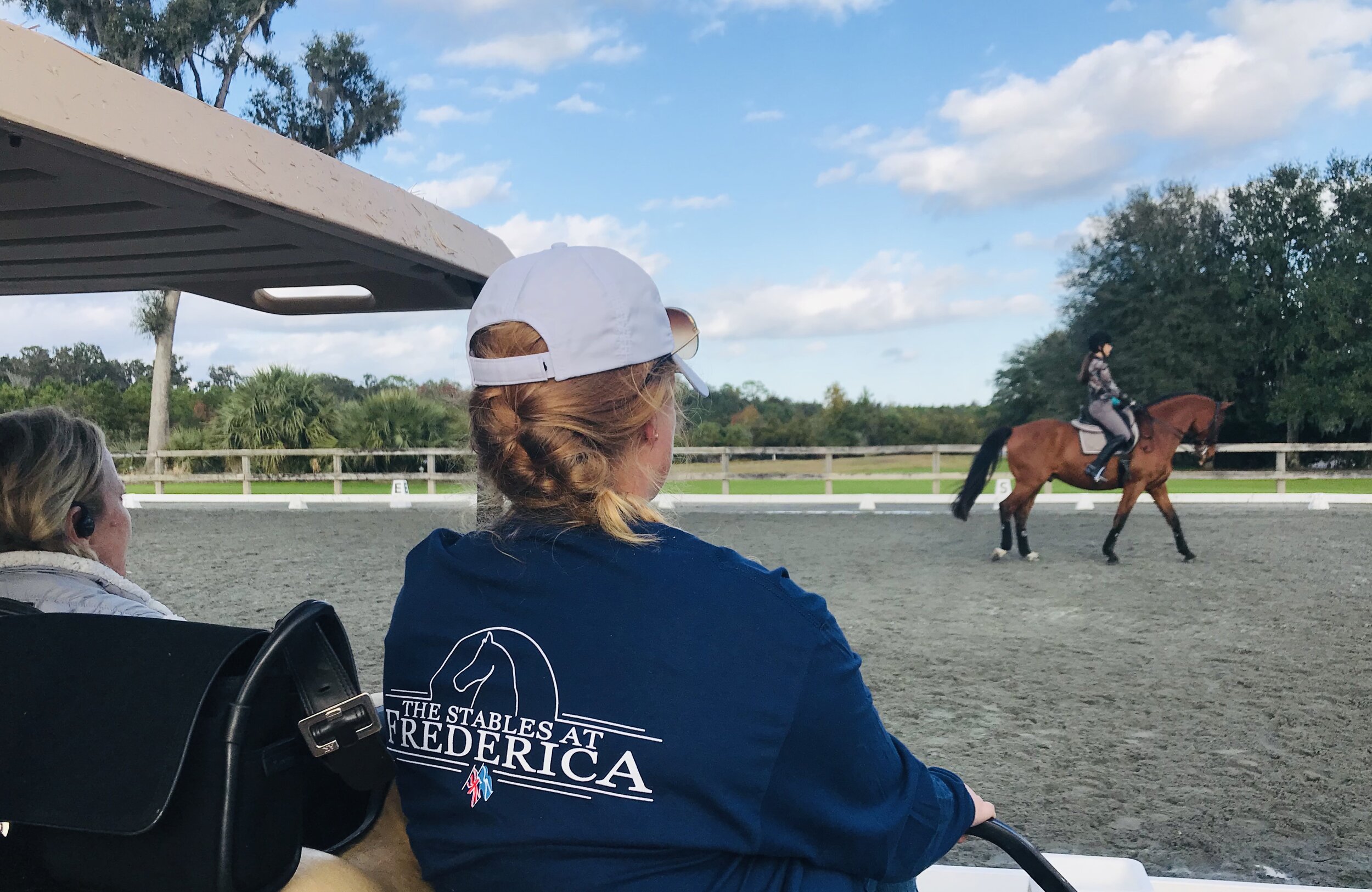 Education, Continued