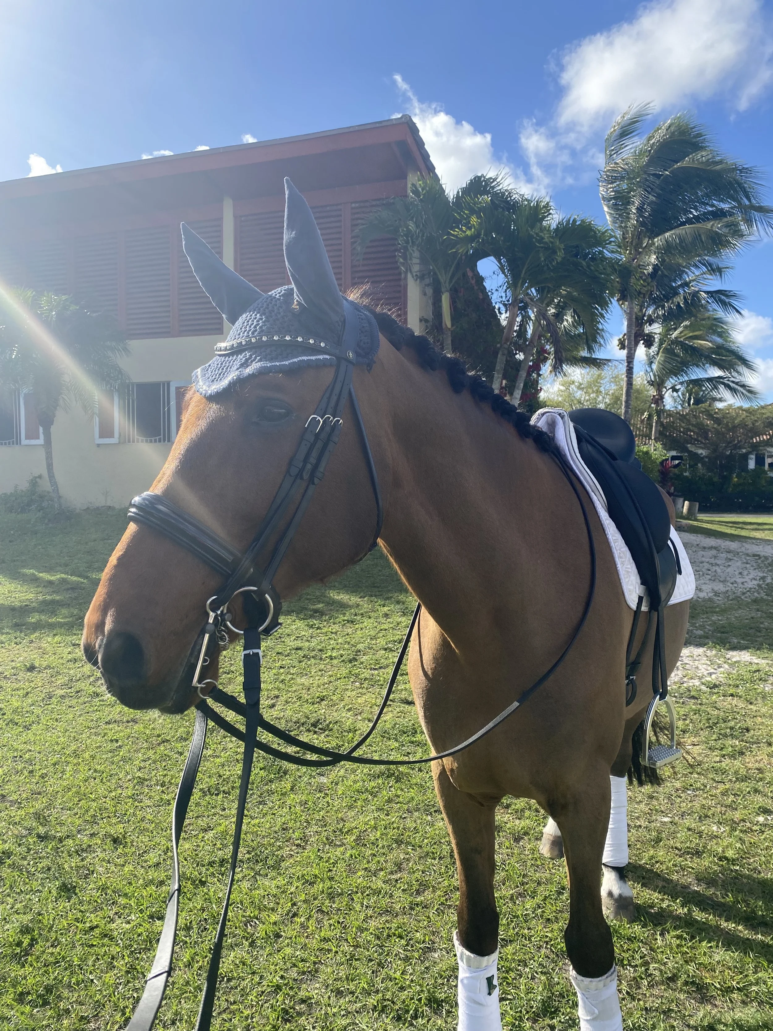 Presentation Matters