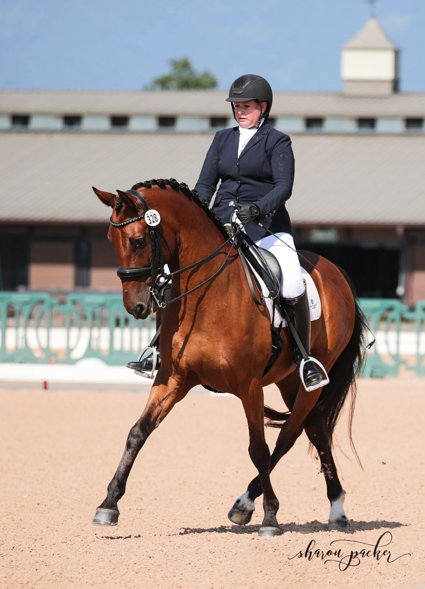 Dressage on the First Coast