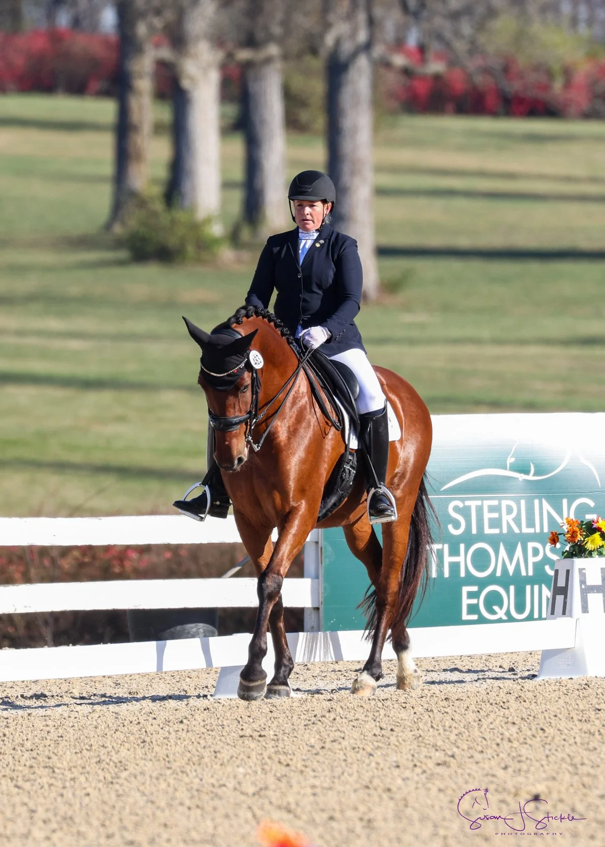 AGDF held at Global Dressage Festival, Wellington, FL