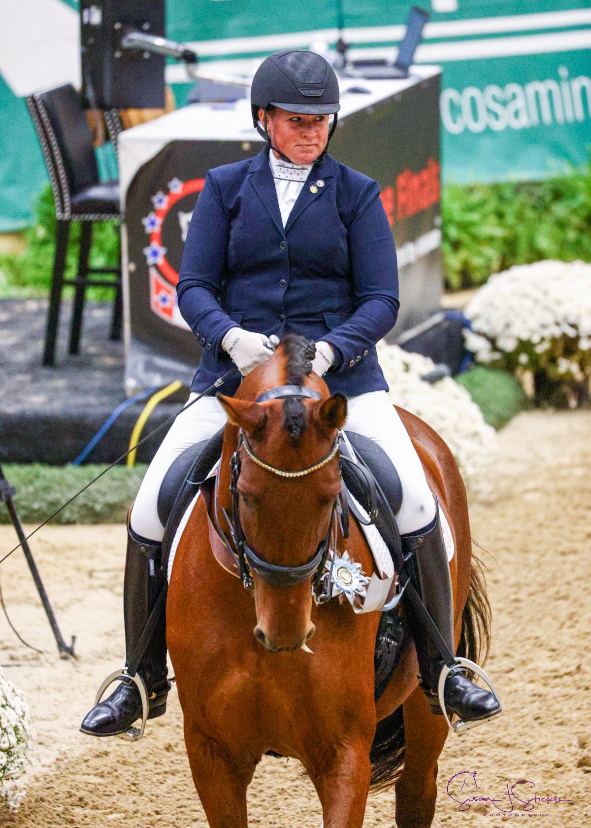 USDF Region 3 Championships at WEC Ocala, FL