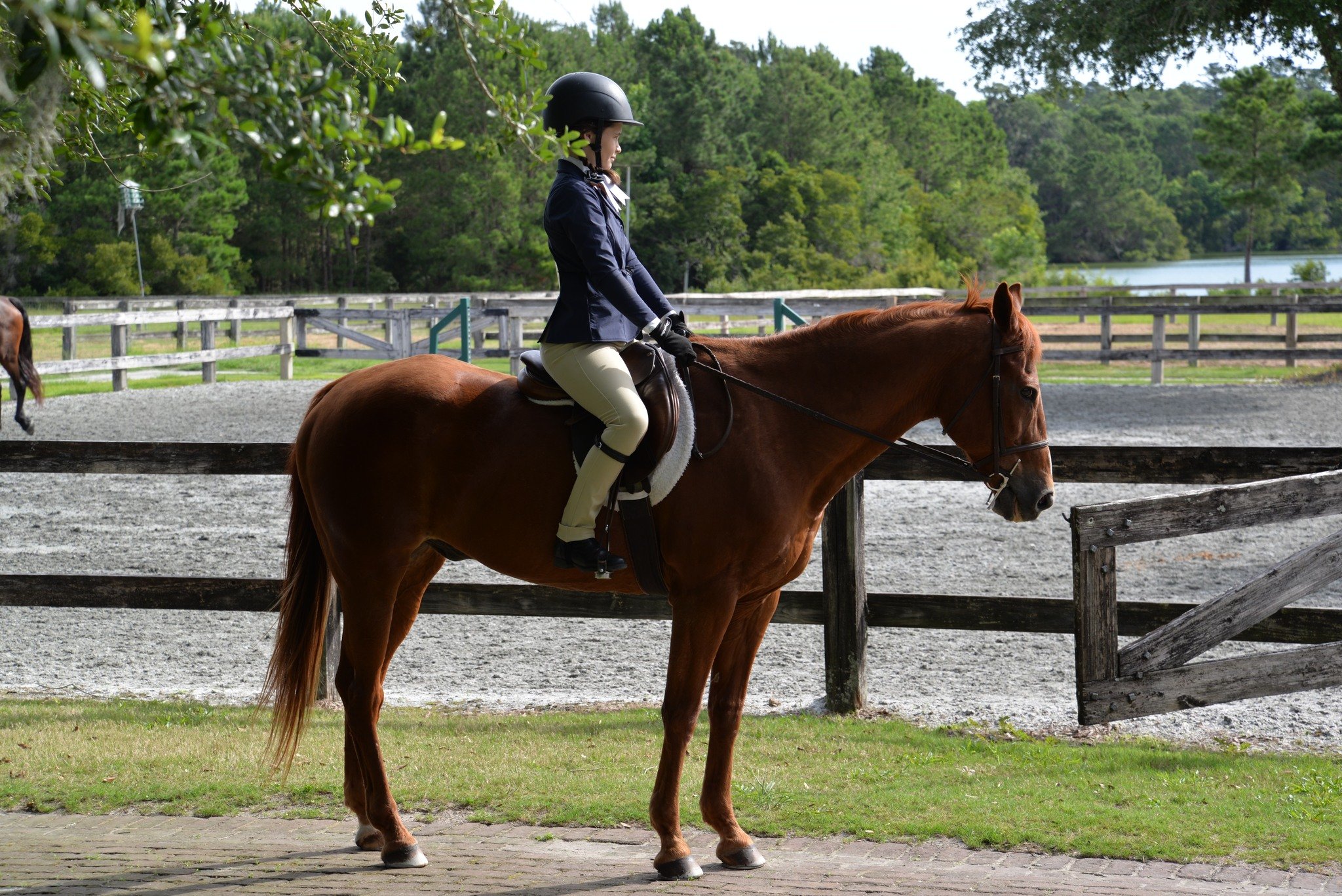 Frederica Fall Benefit