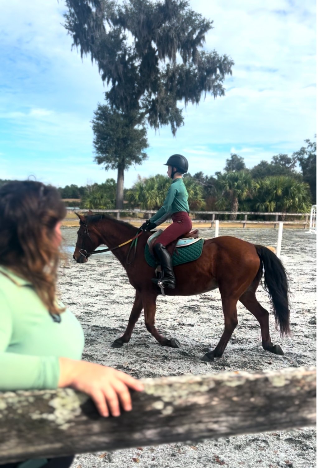 Frederica Horsemastership Clinic
