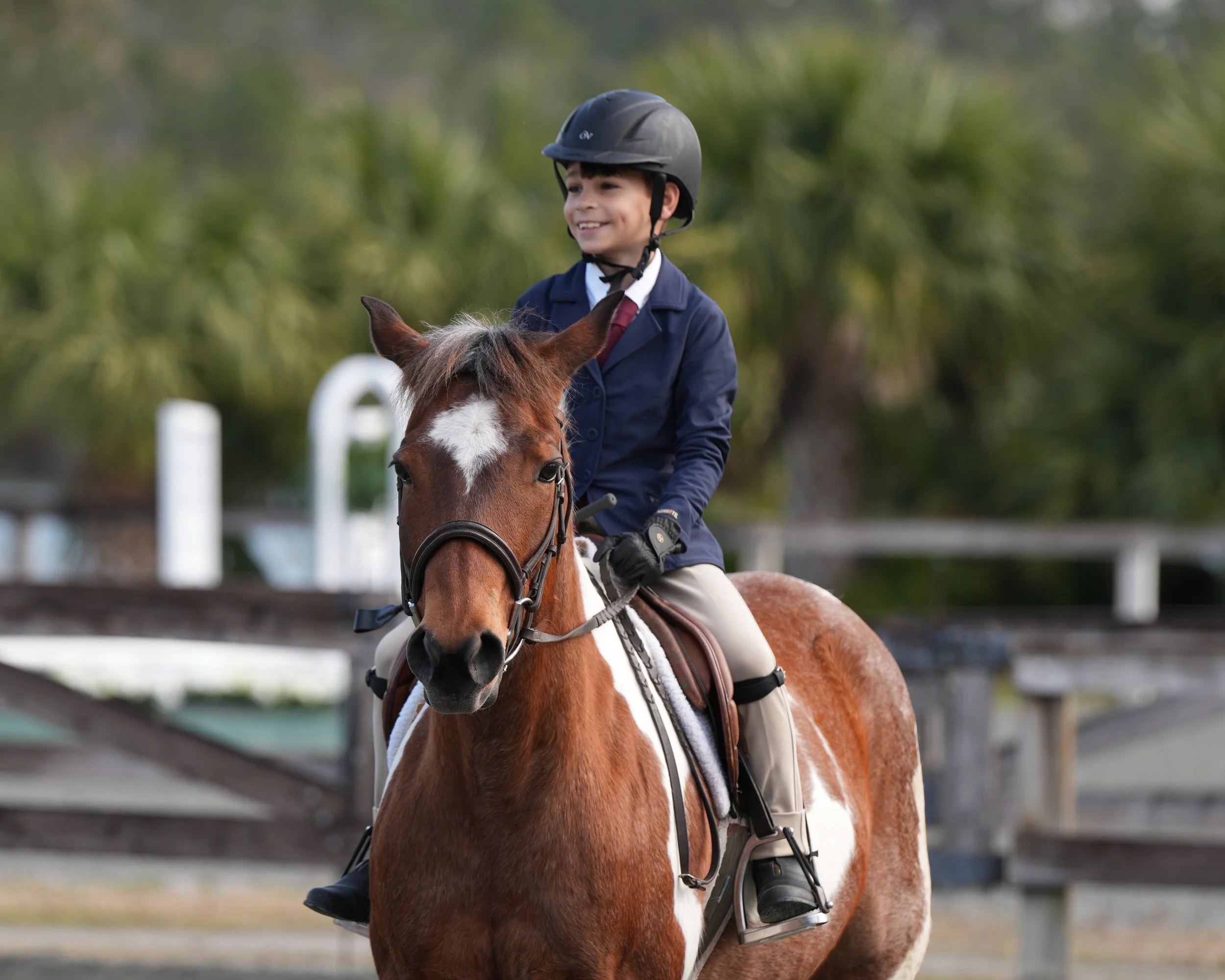 Frederica Hunt Spring